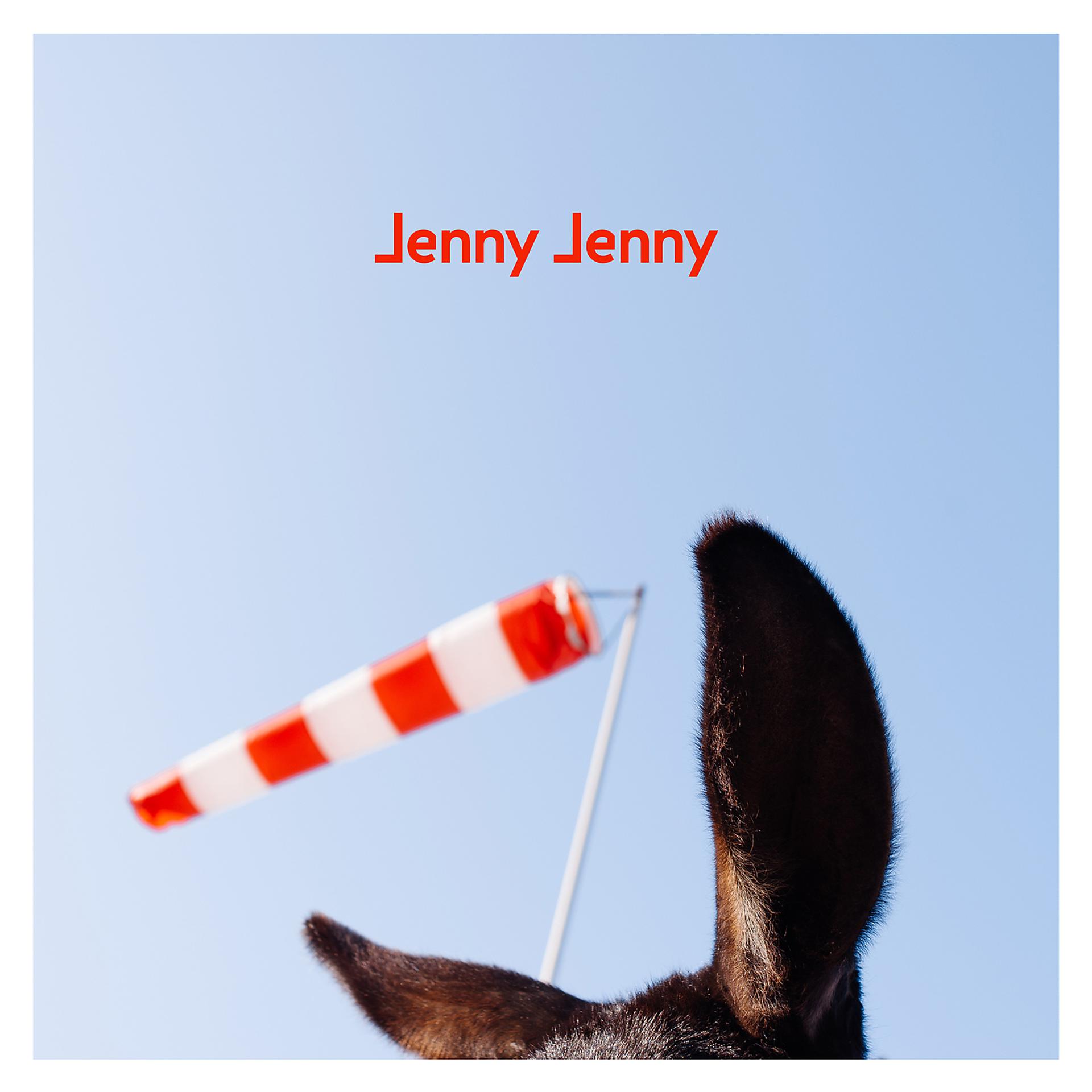 Постер альбома Jenny Jenny