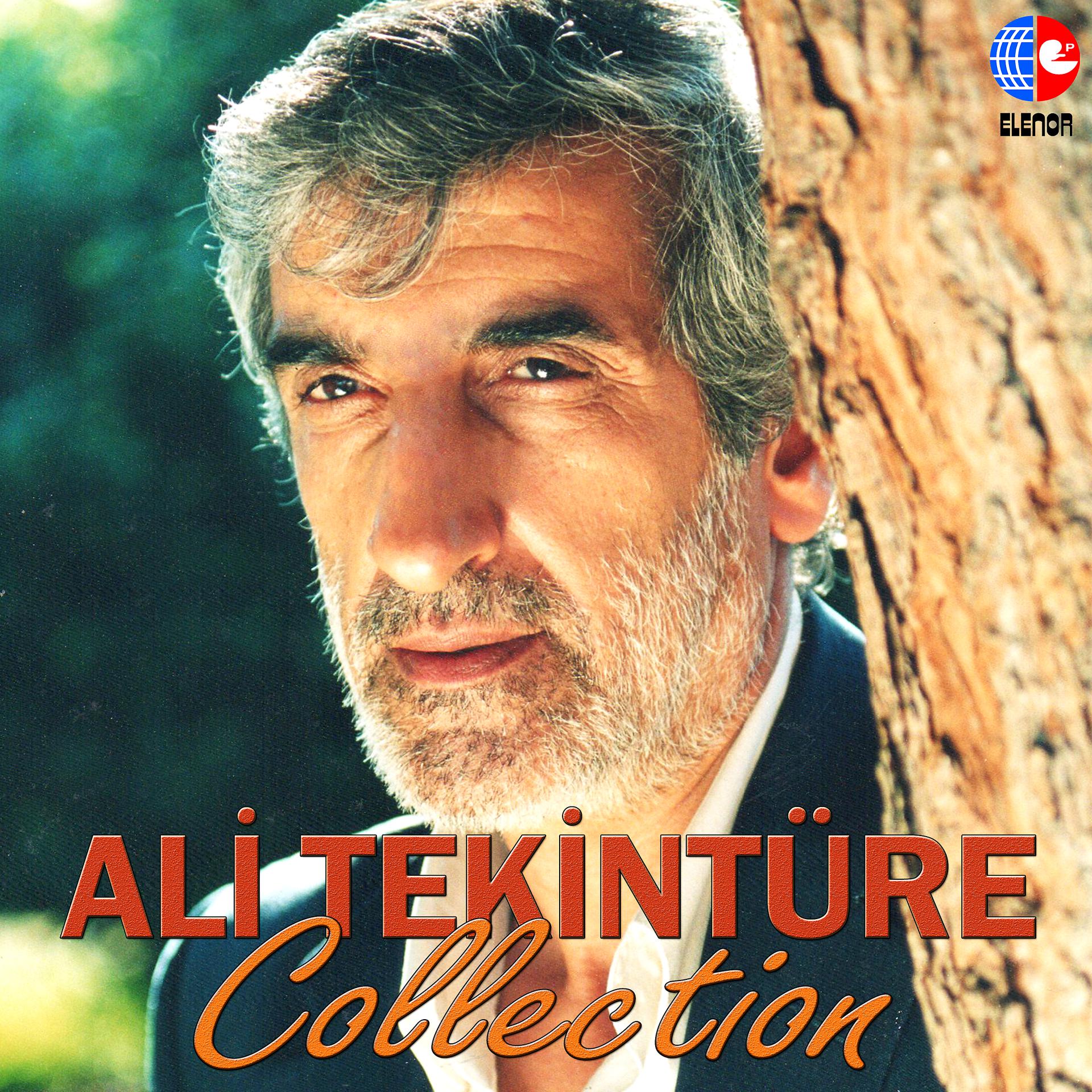 Постер альбома Ali Tekintüre Collection