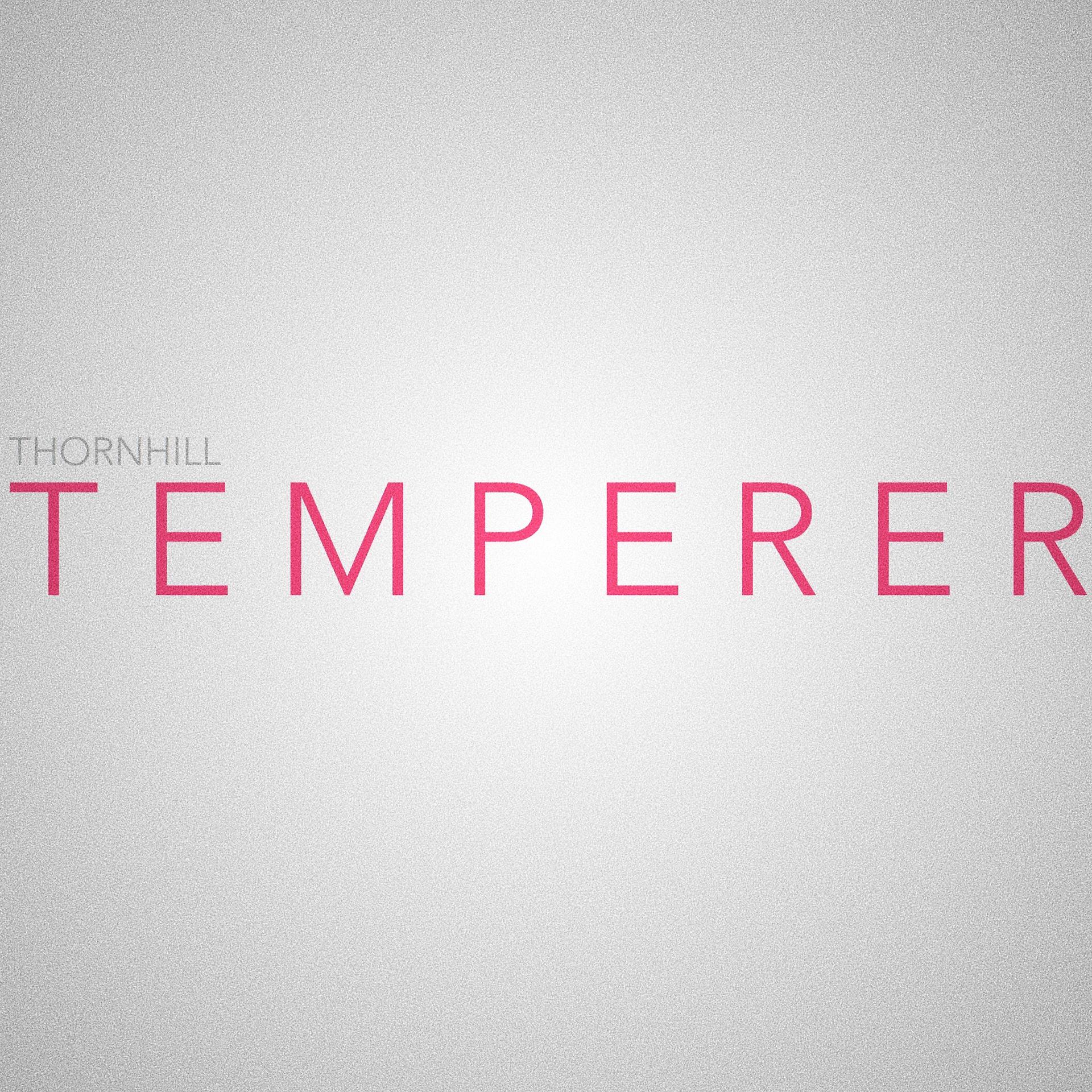 Постер альбома Temperer