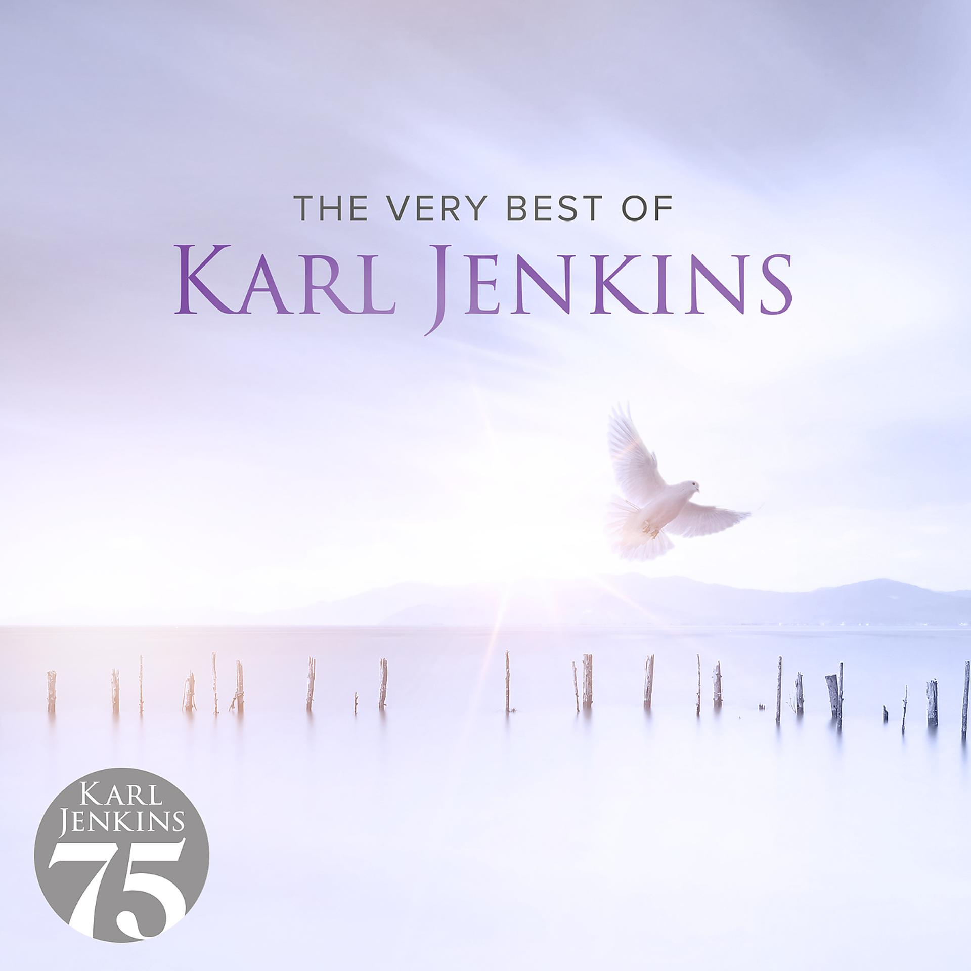 Постер альбома The Very Best Of Karl Jenkins
