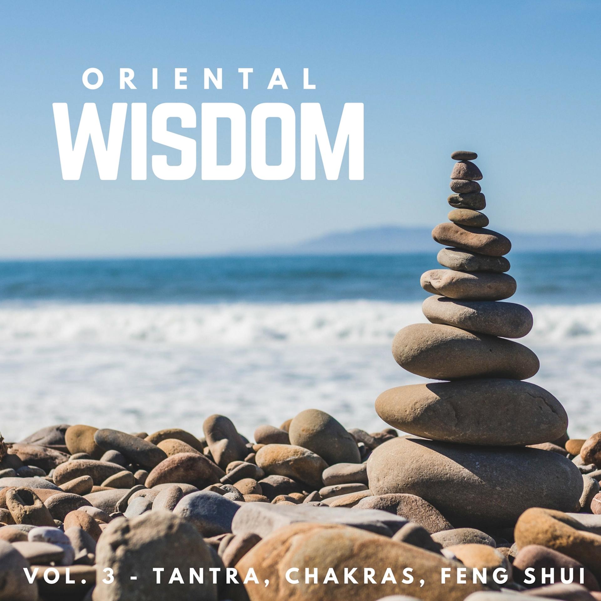 Постер альбома Oriental Wisdom (Vol. 3)