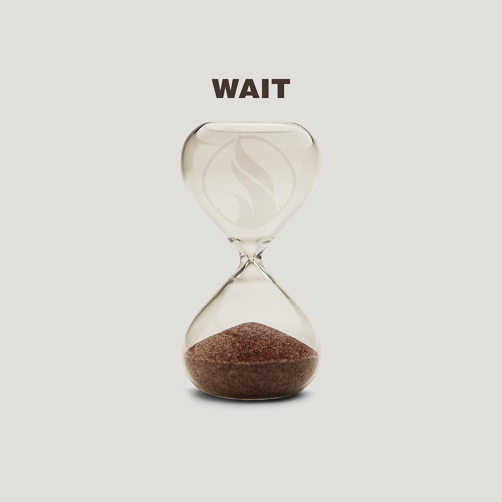 Постер альбома Wait