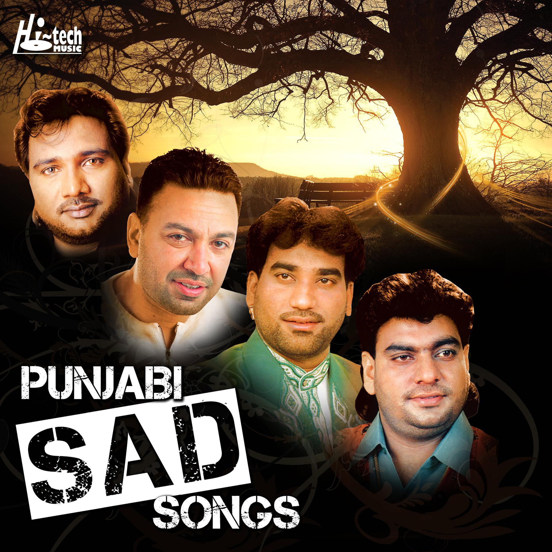 Постер альбома Punjabi Sad Songs