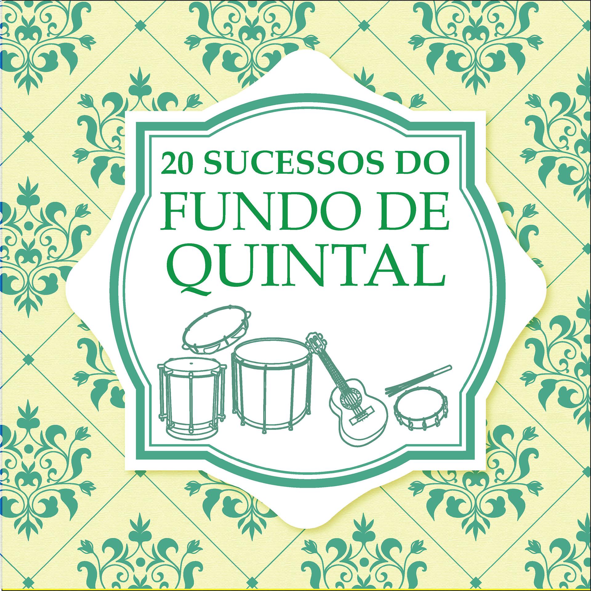 Постер альбома 20 Sucessos do Fundo de Quintal