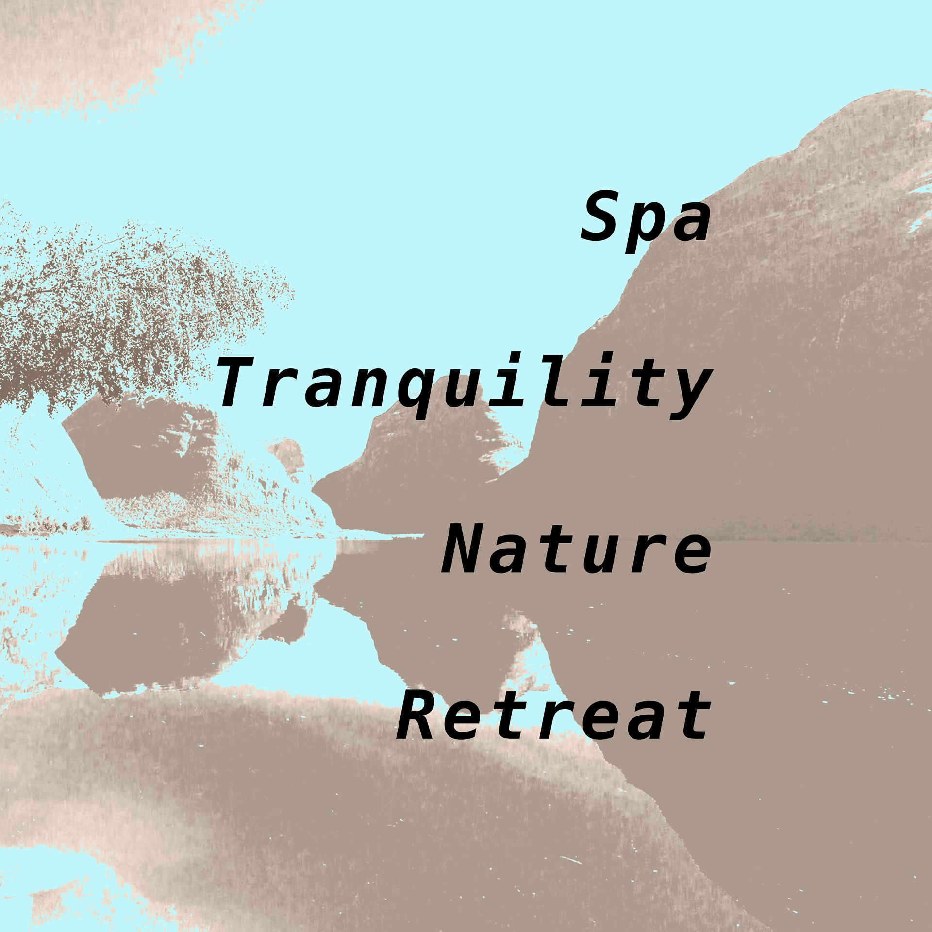 Постер альбома Spa Tranquility: Nature Retreat