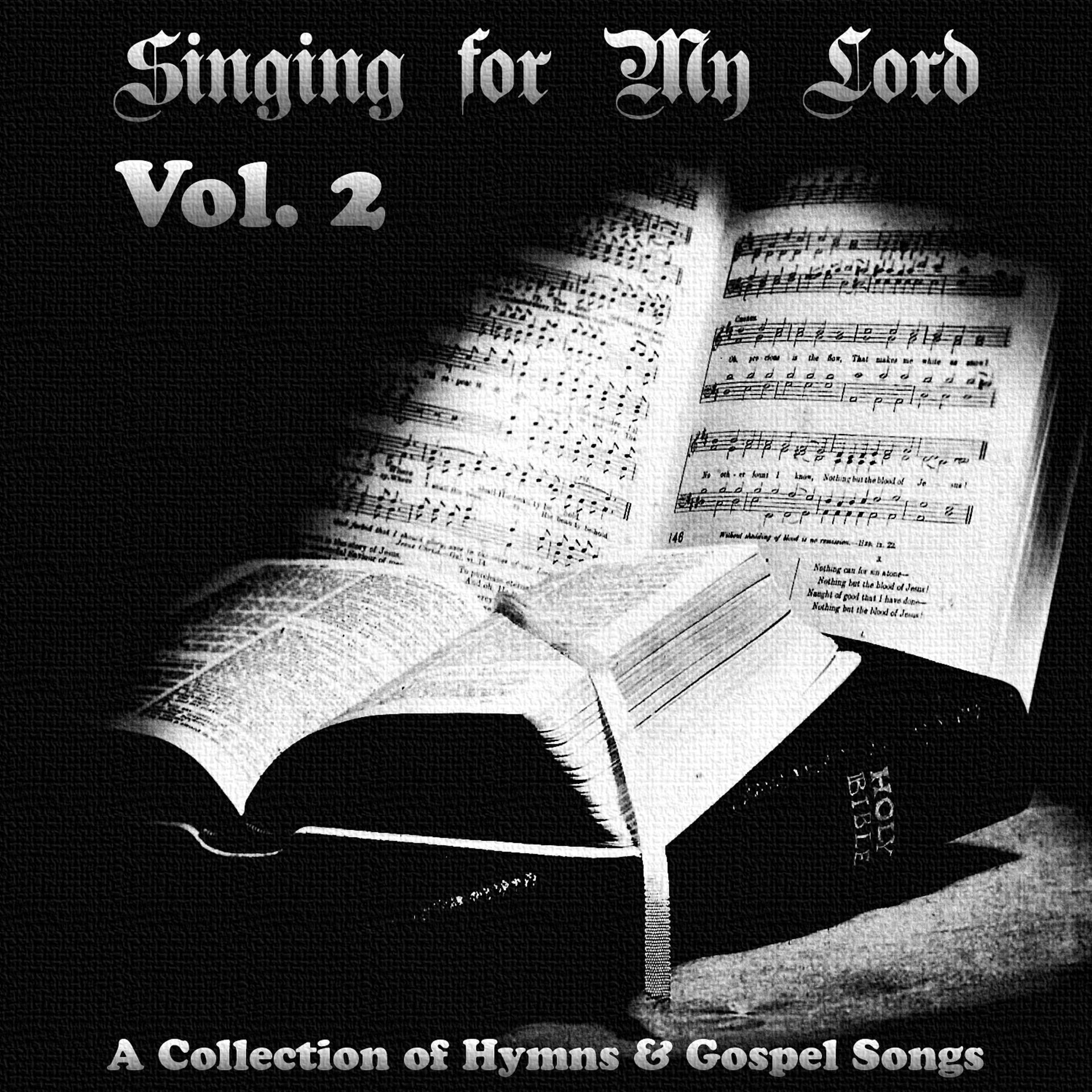 Постер альбома Singing for My Lord - Hymns and Gospel Music - Vol. 2