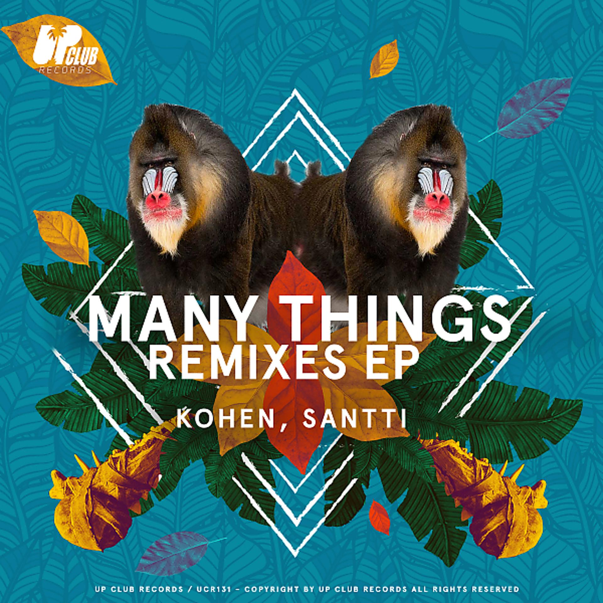 Постер альбома Many Things Remixes EP