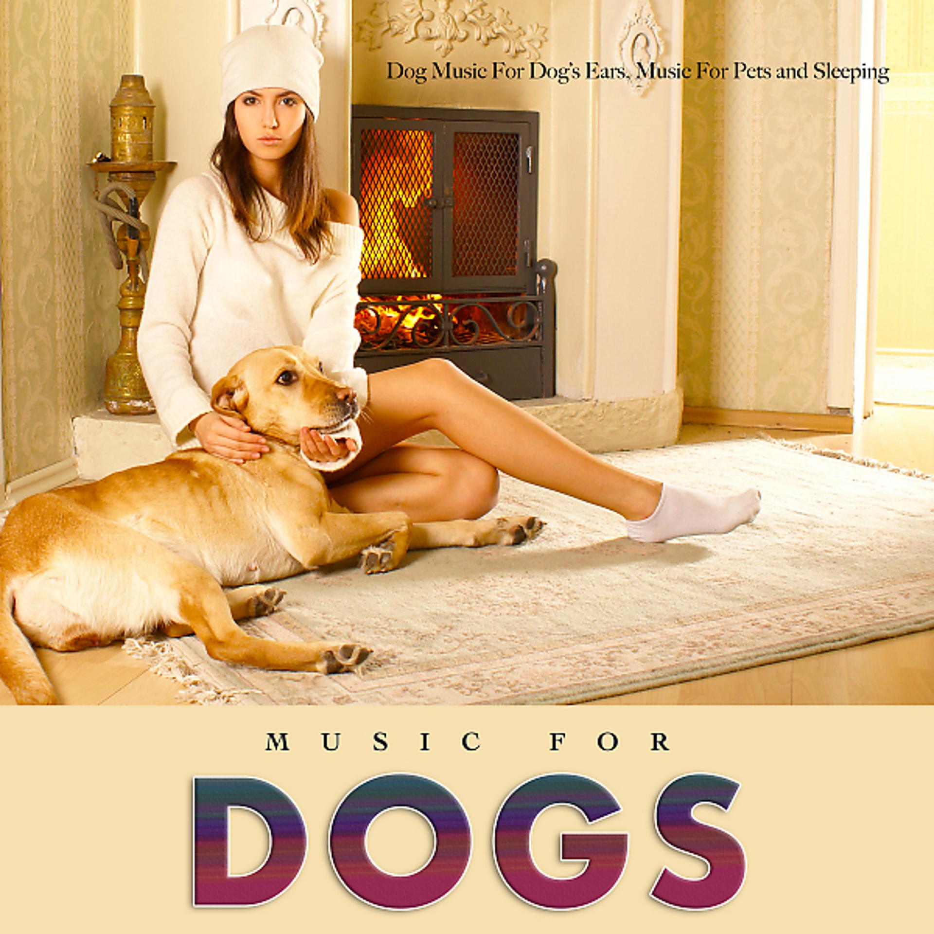 Постер альбома Dog Music For Dog’s Ears, Music For Pets and Sleeping Music For Dogs