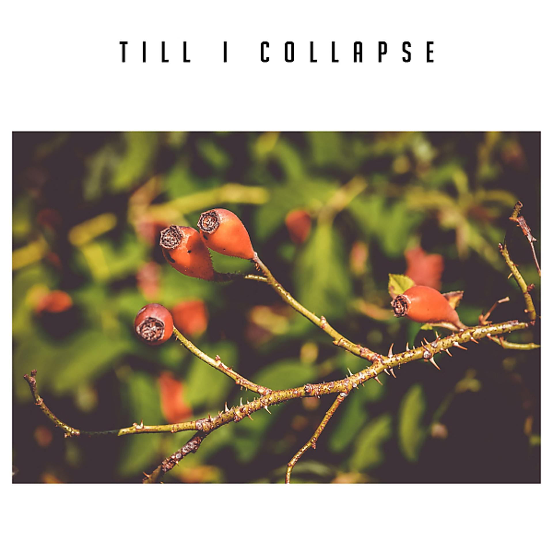 Постер альбома Till I Collapse