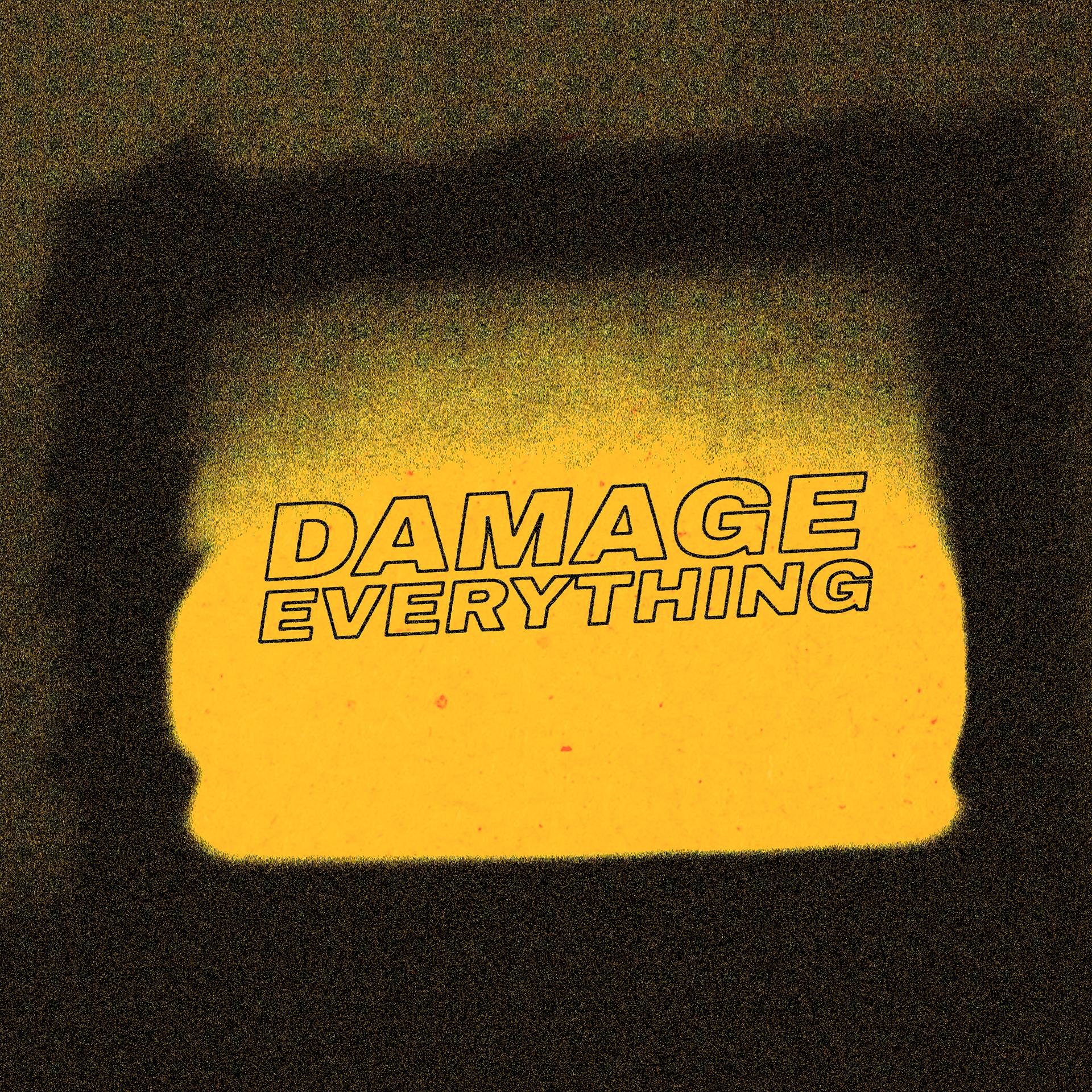 Постер альбома Damage Everything