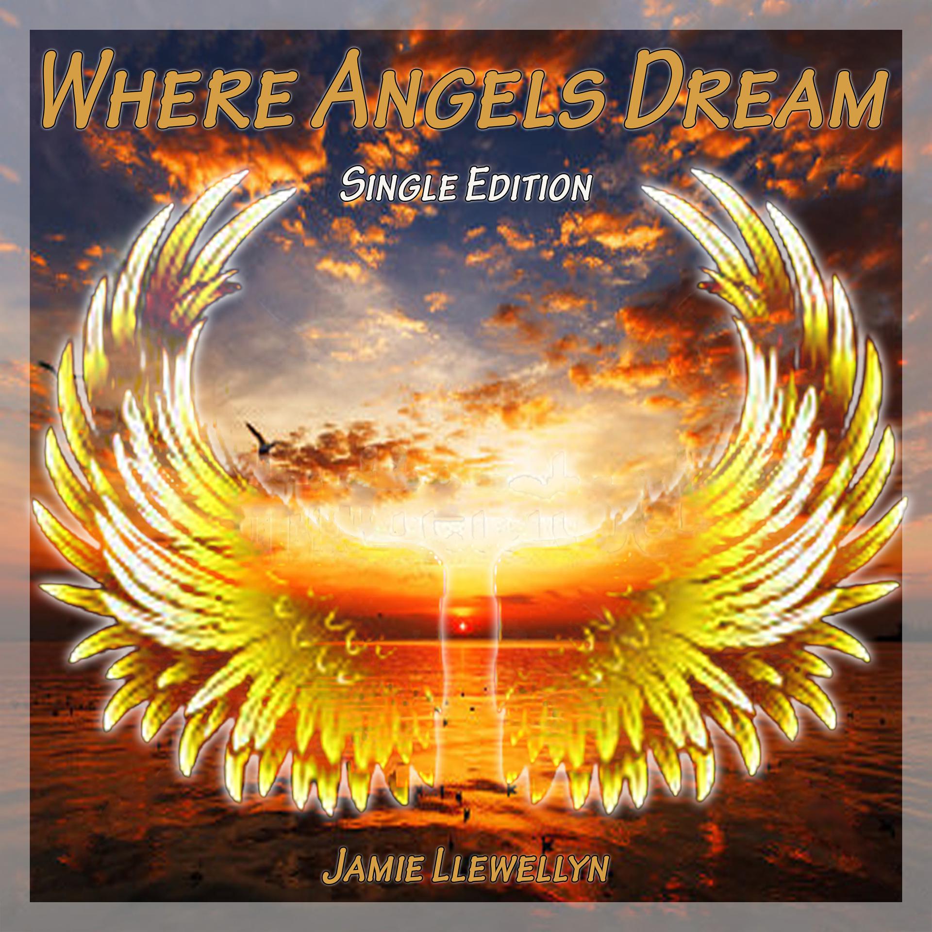 Постер альбома Where Angels Dream