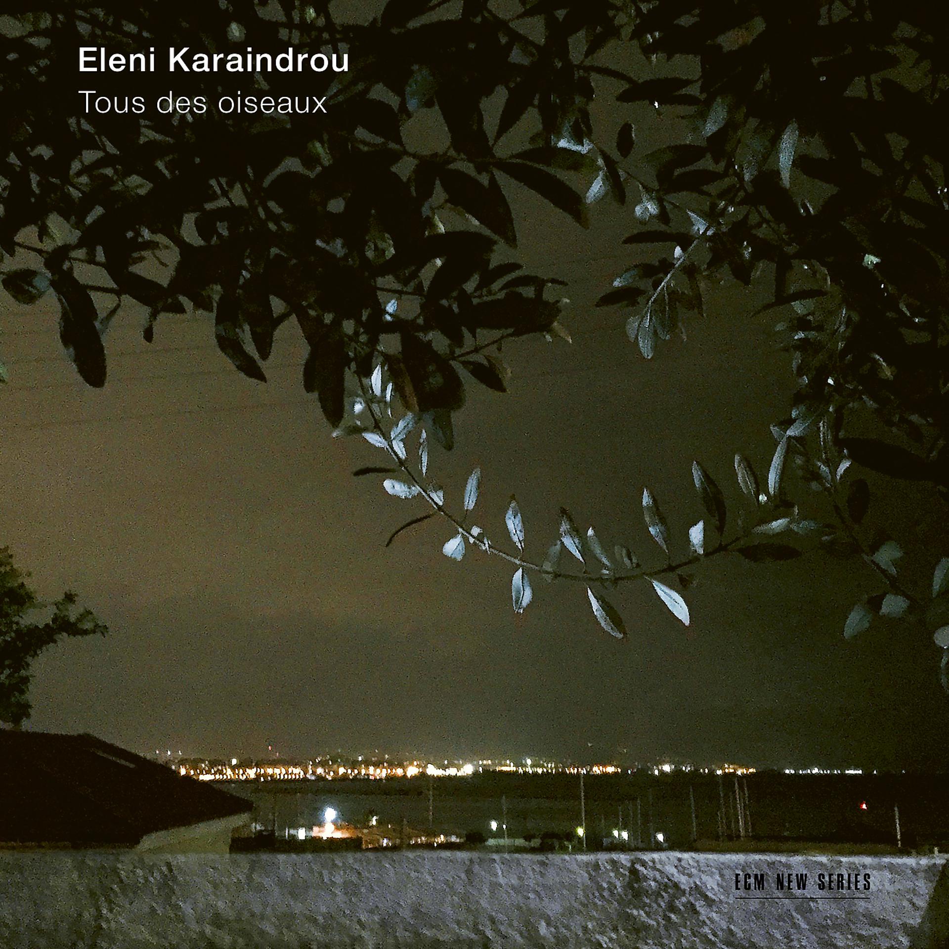Постер альбома Karaindrou: Tous des oiseaux