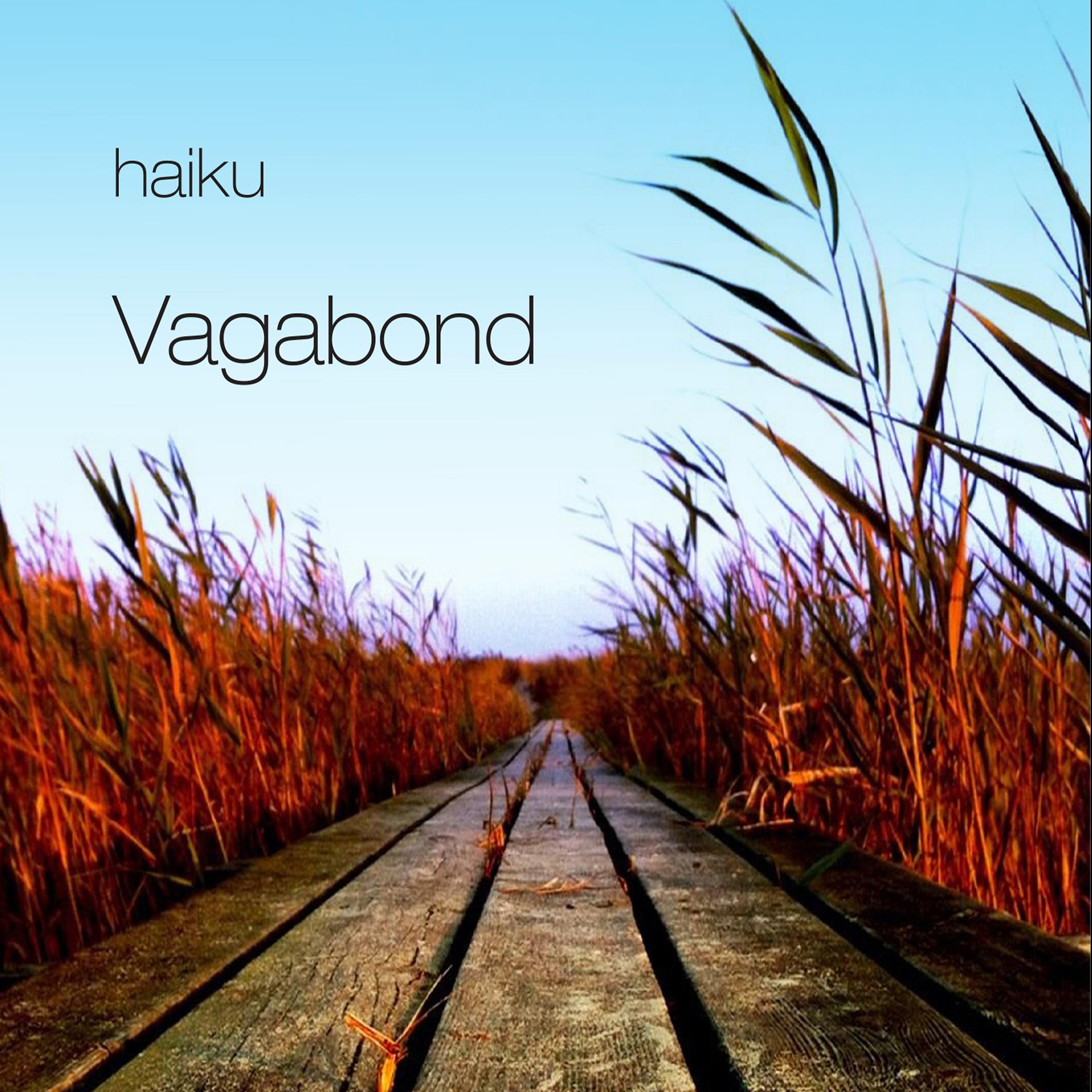 Постер альбома Vagabond