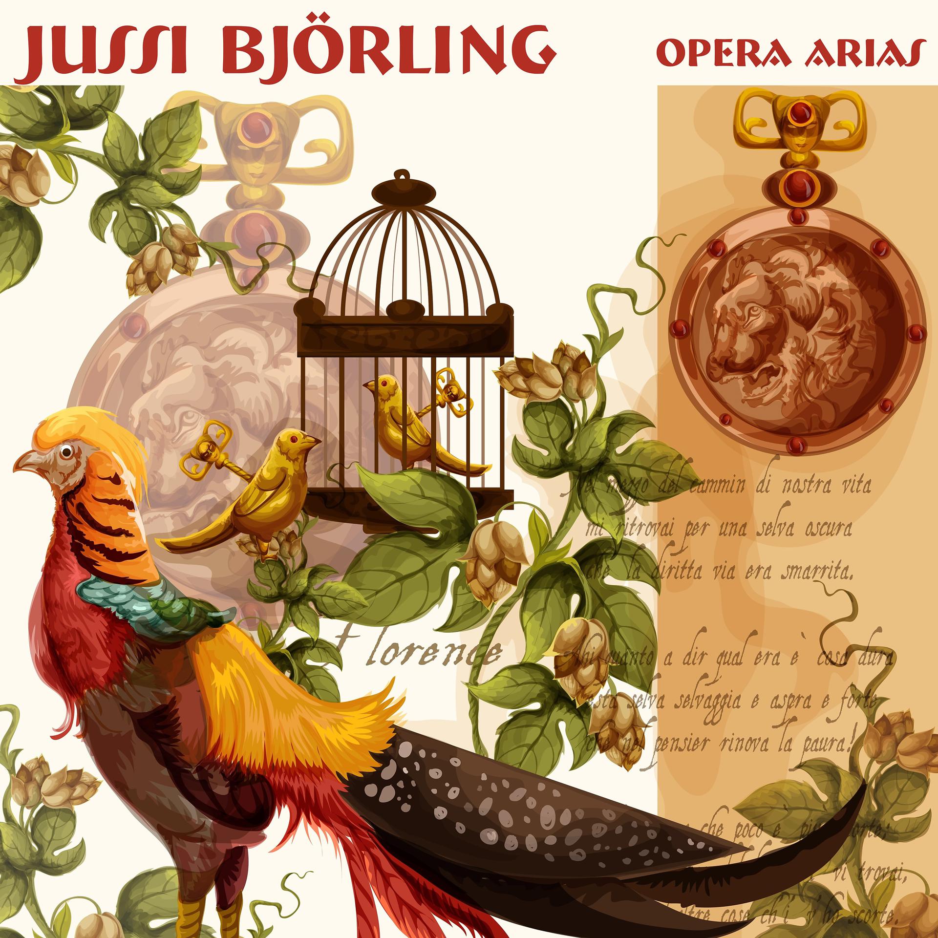 Постер альбома Opera Arias