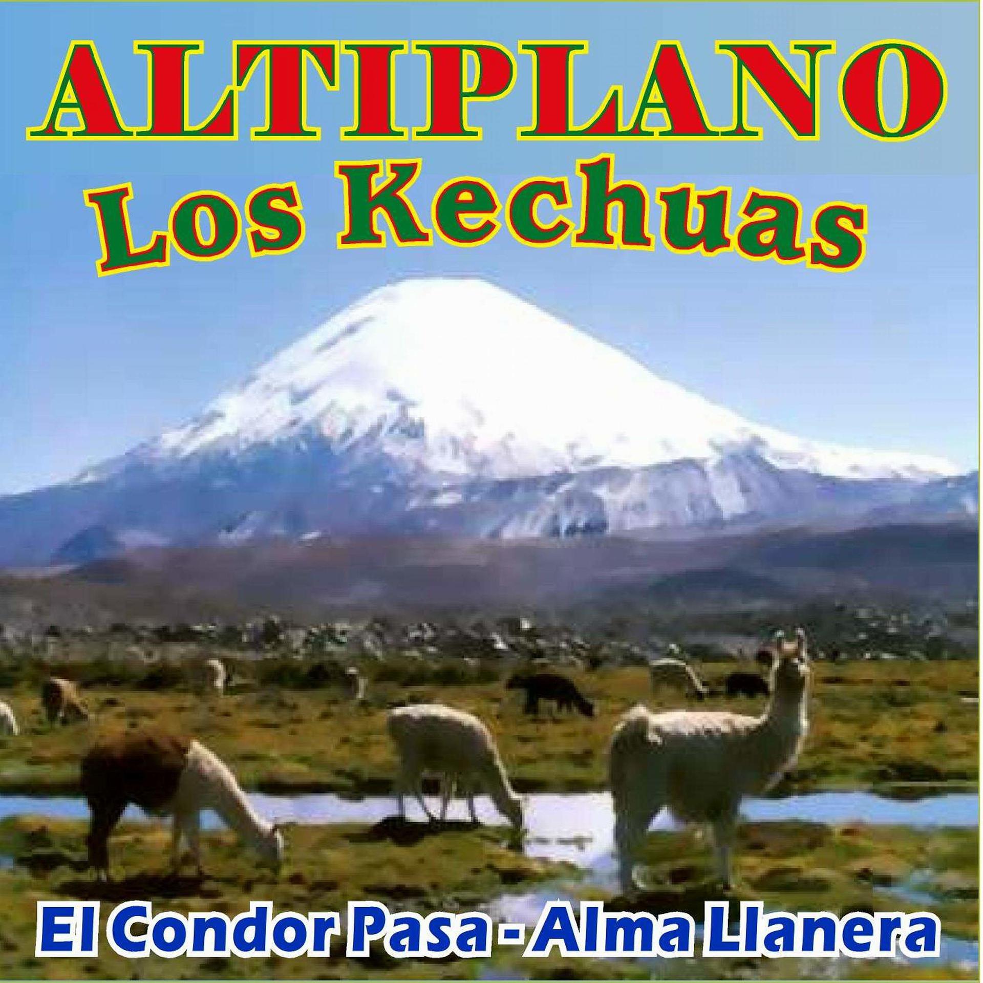 Постер альбома Altiplano - Musica Andina
