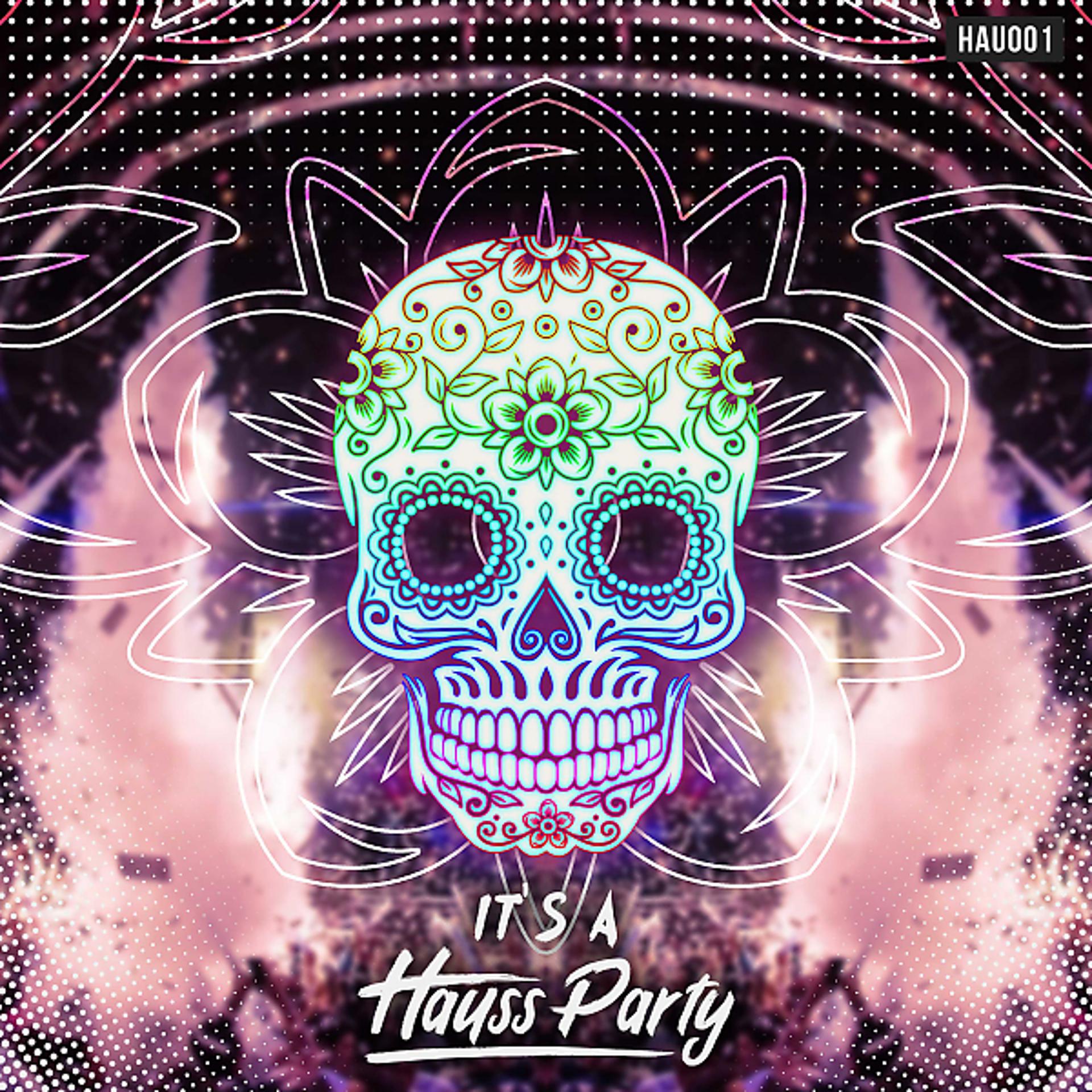 Постер альбома IT'S A HAUSS PARTY, VOL. 1