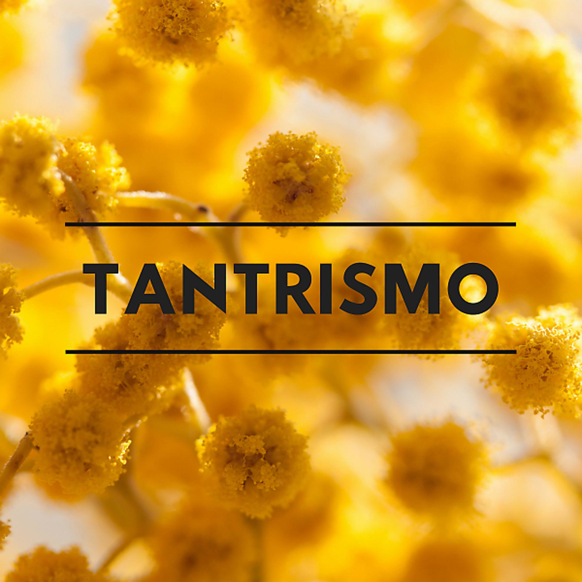 Постер альбома Tantrismo - Música para el Estado del Bien y de la Felicidad