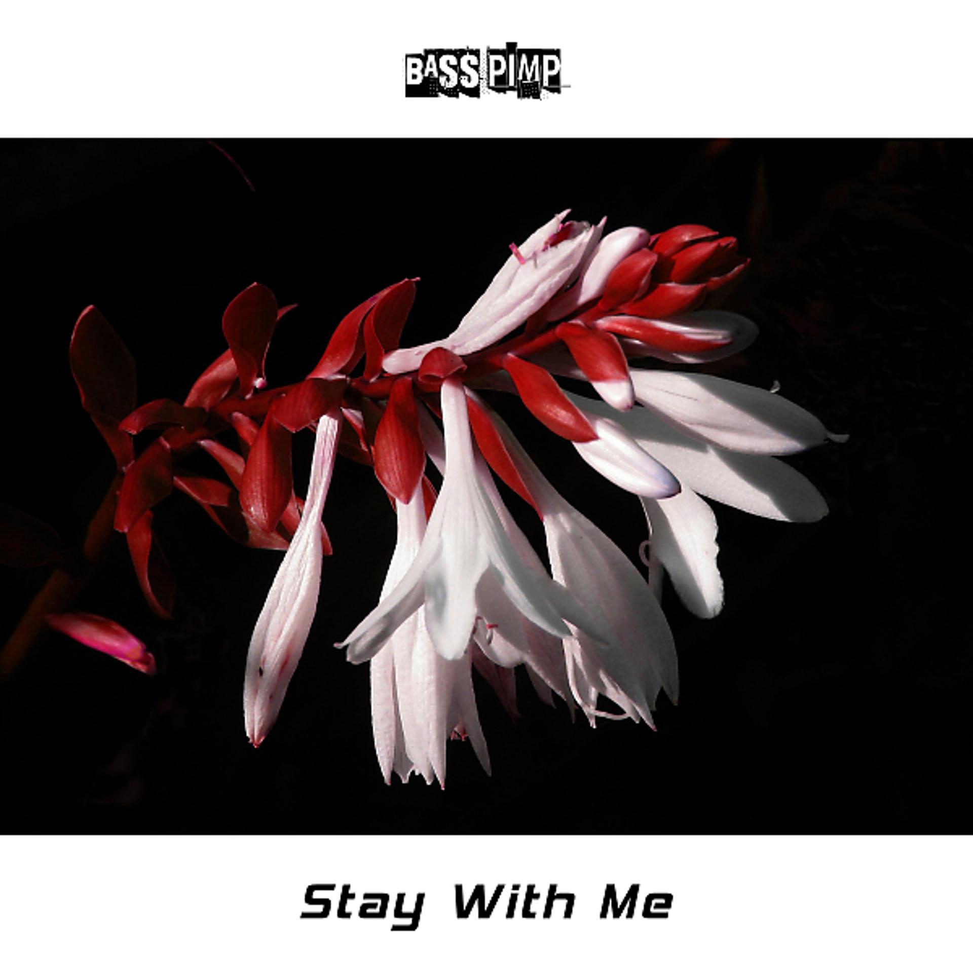 Постер альбома Stay With Me EP