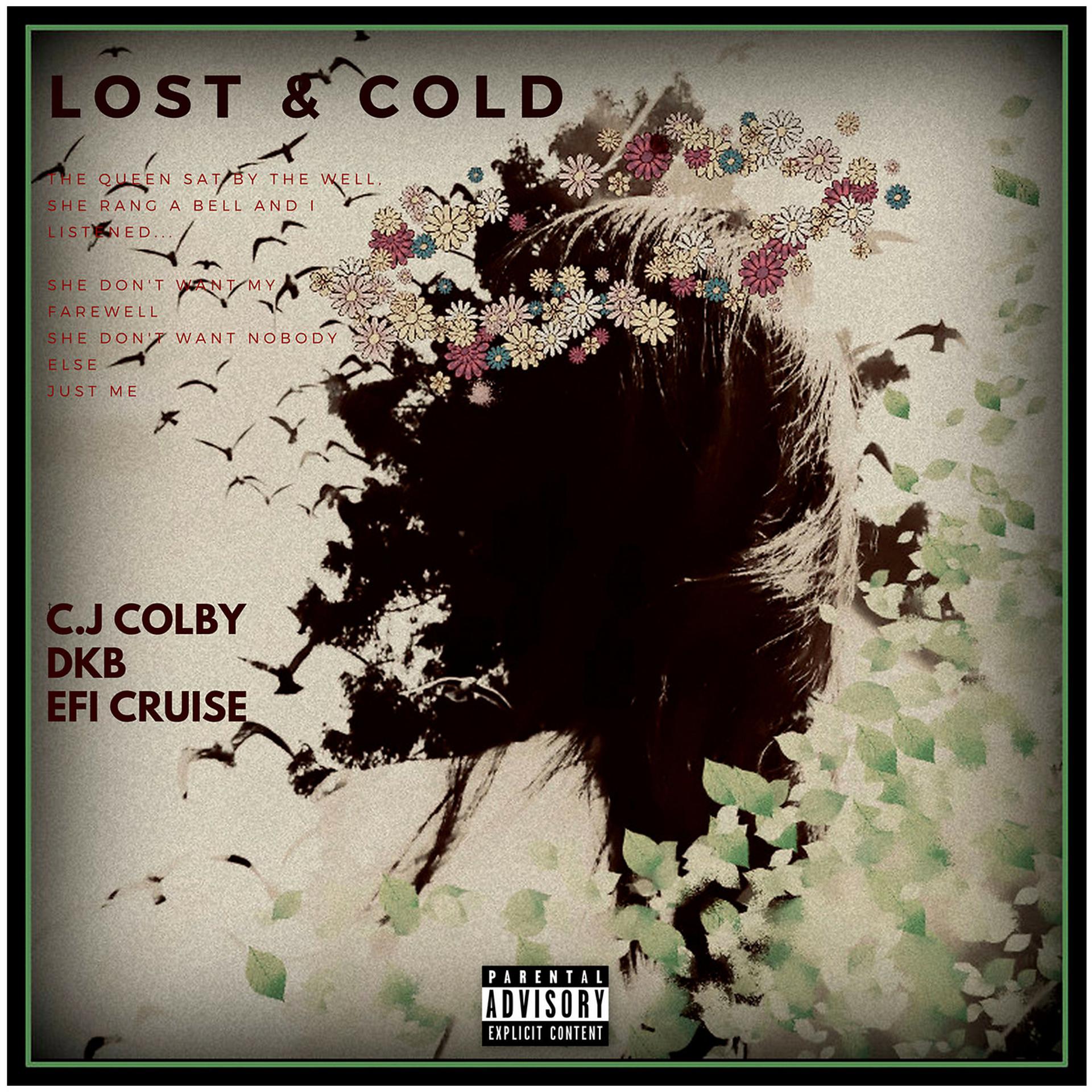 Постер альбома Lost n Cold