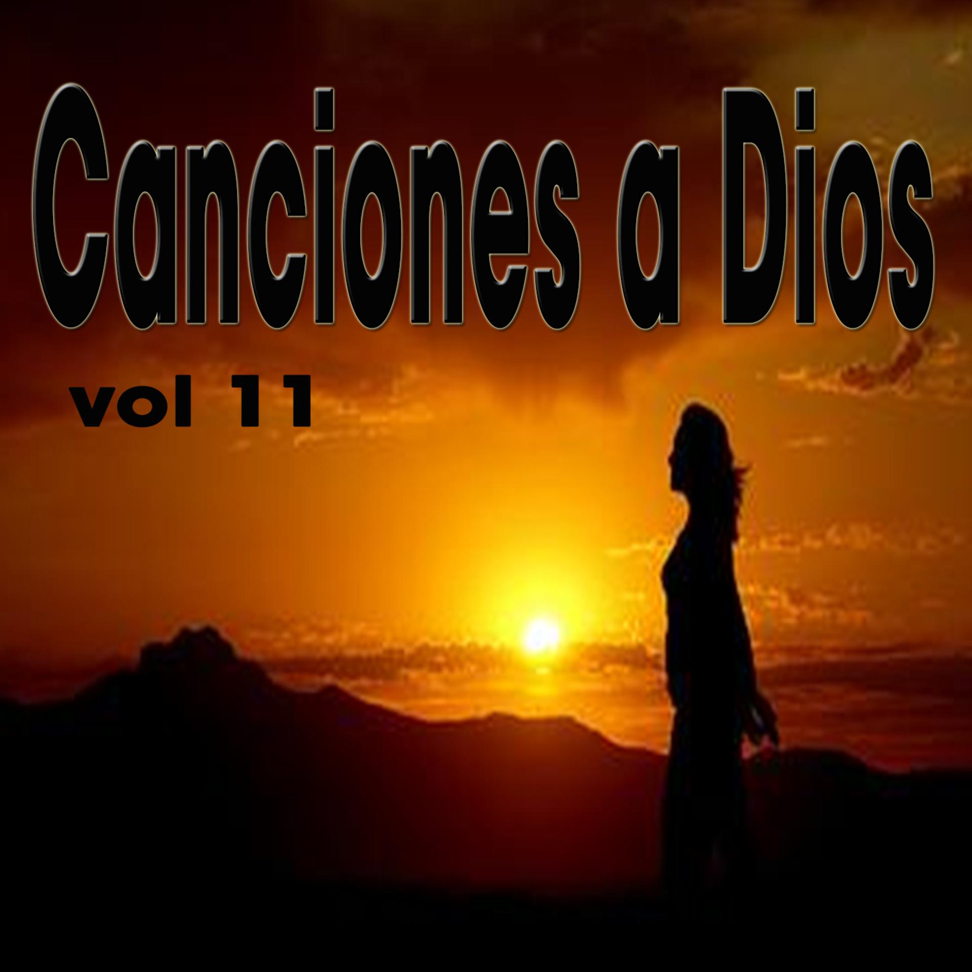 Постер альбома Canciones a Dios, Vol. 11