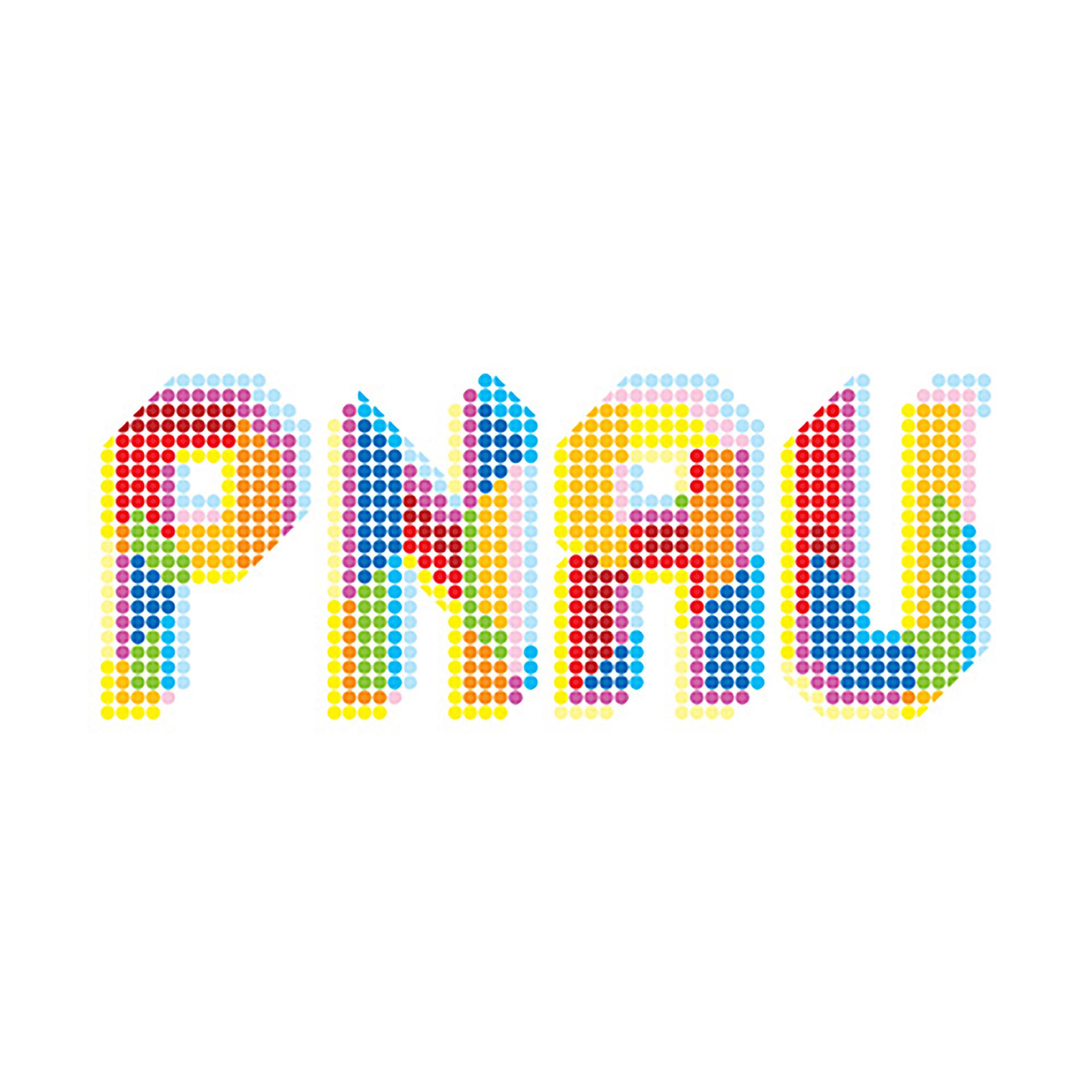 Постер альбома PNAU