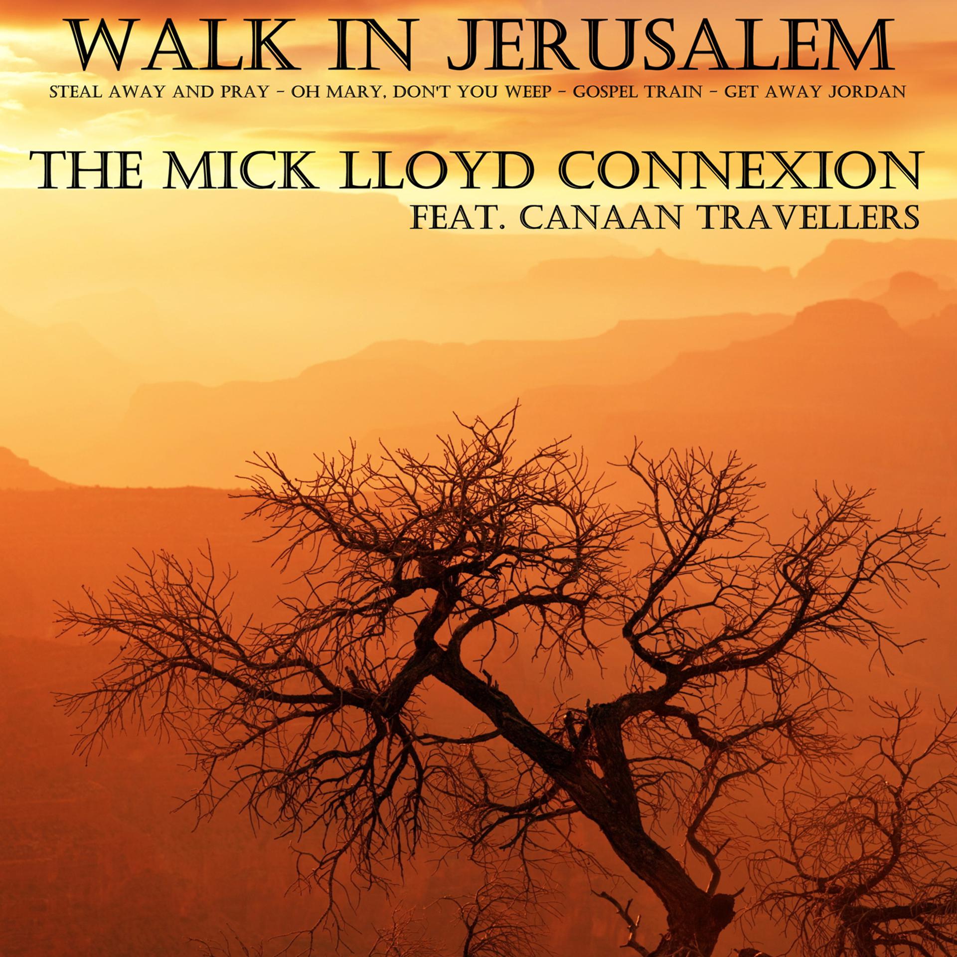 Постер альбома Walk in Jerusalem