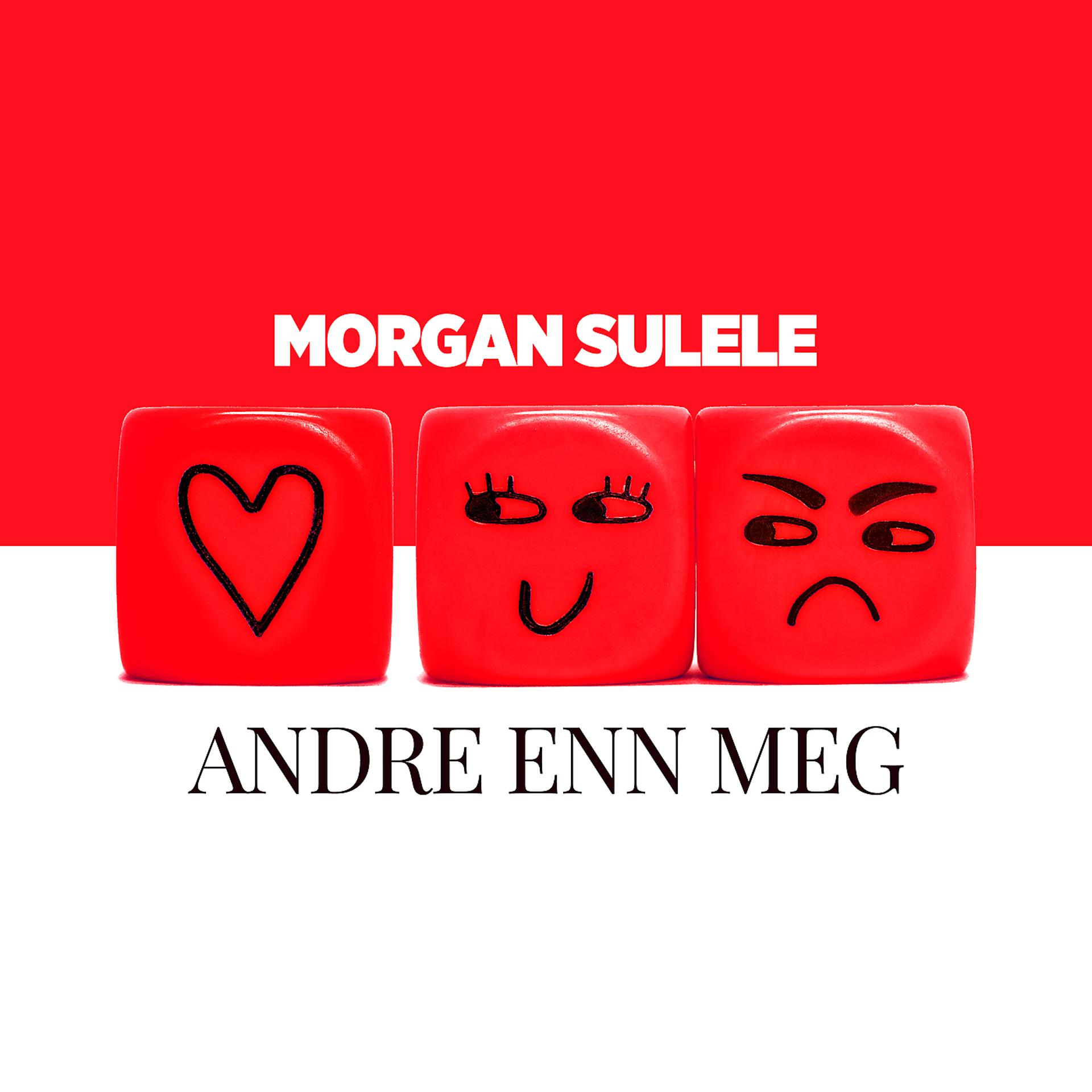 Постер альбома Andre Enn Meg