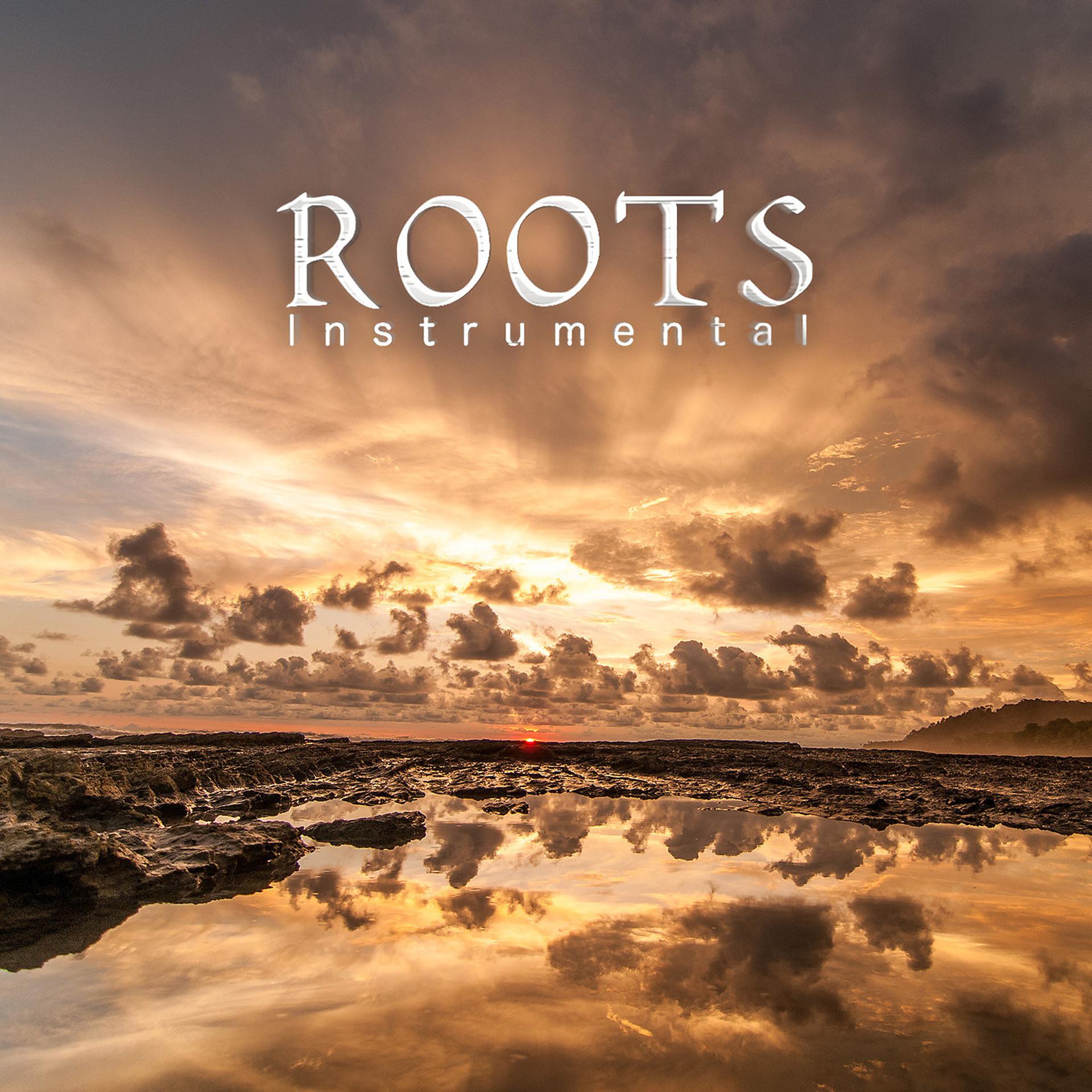 Постер альбома Roots (Instrumental)