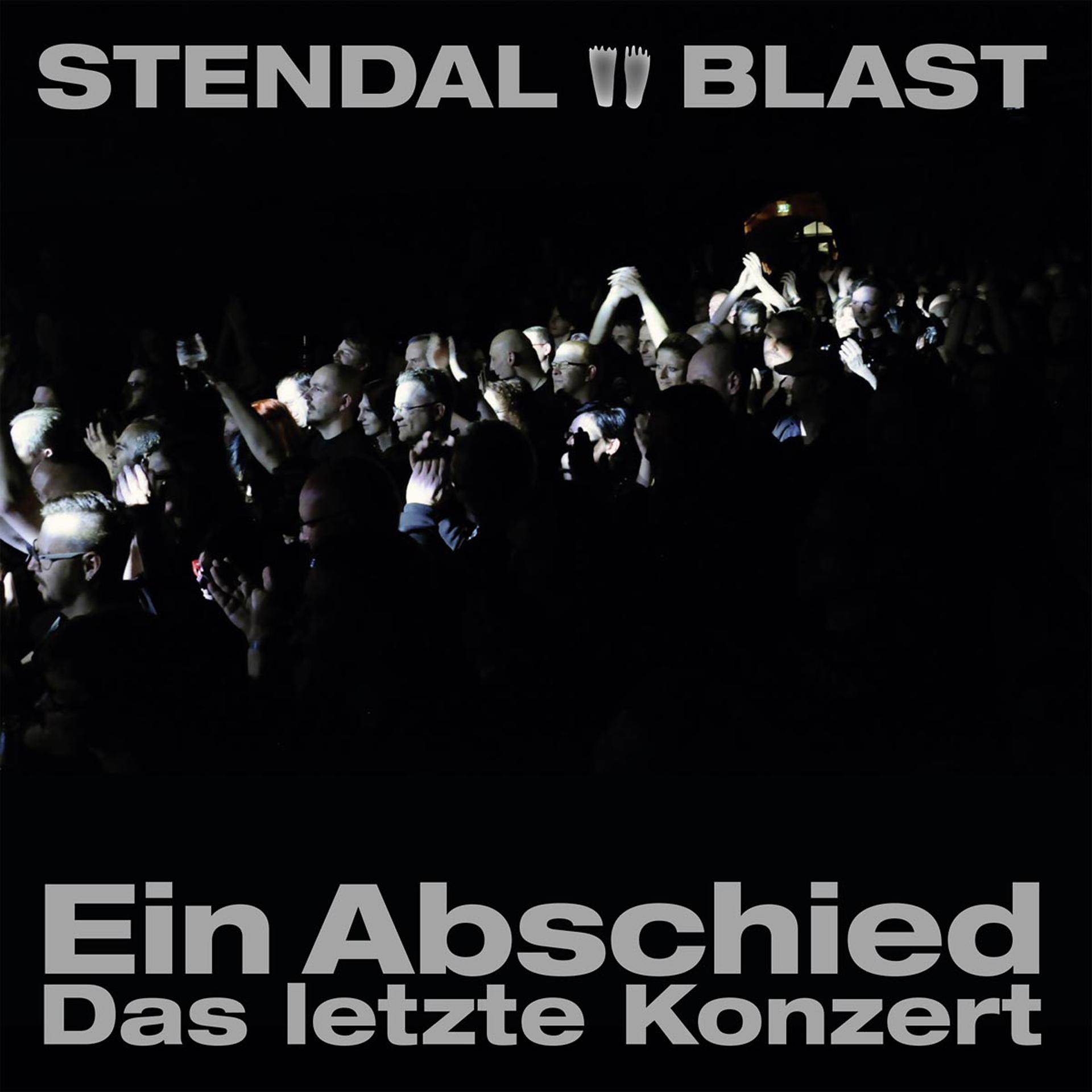 Постер альбома Ein Abschied - Das letzte Konzert