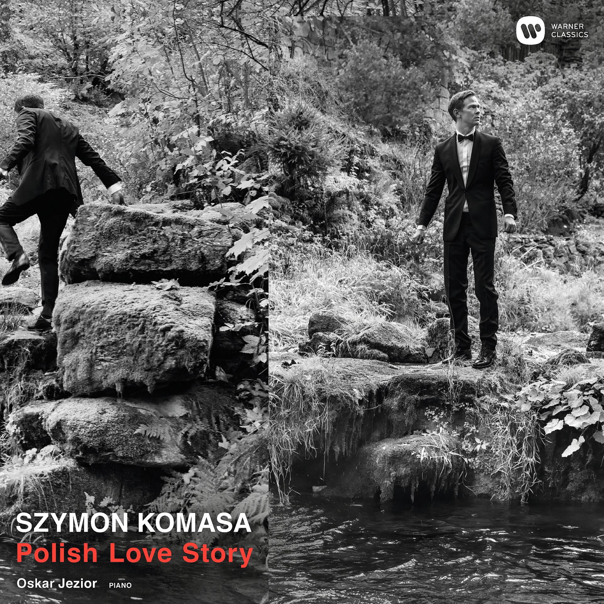 Постер альбома Polish Love Story