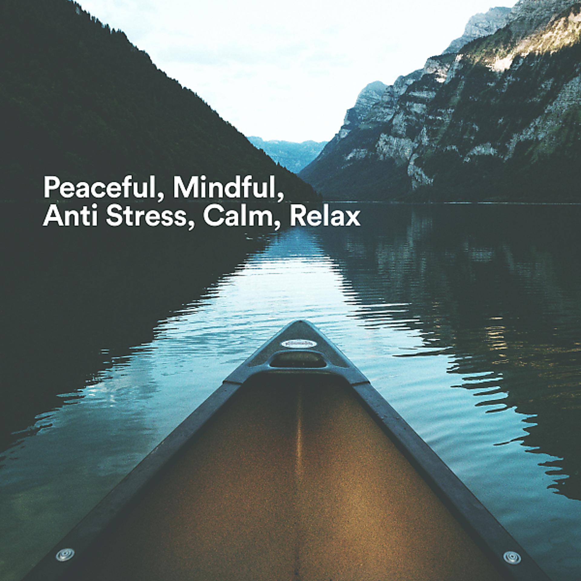 Постер альбома Peaceful, Mindful, Anti Stress, Calm, Relax