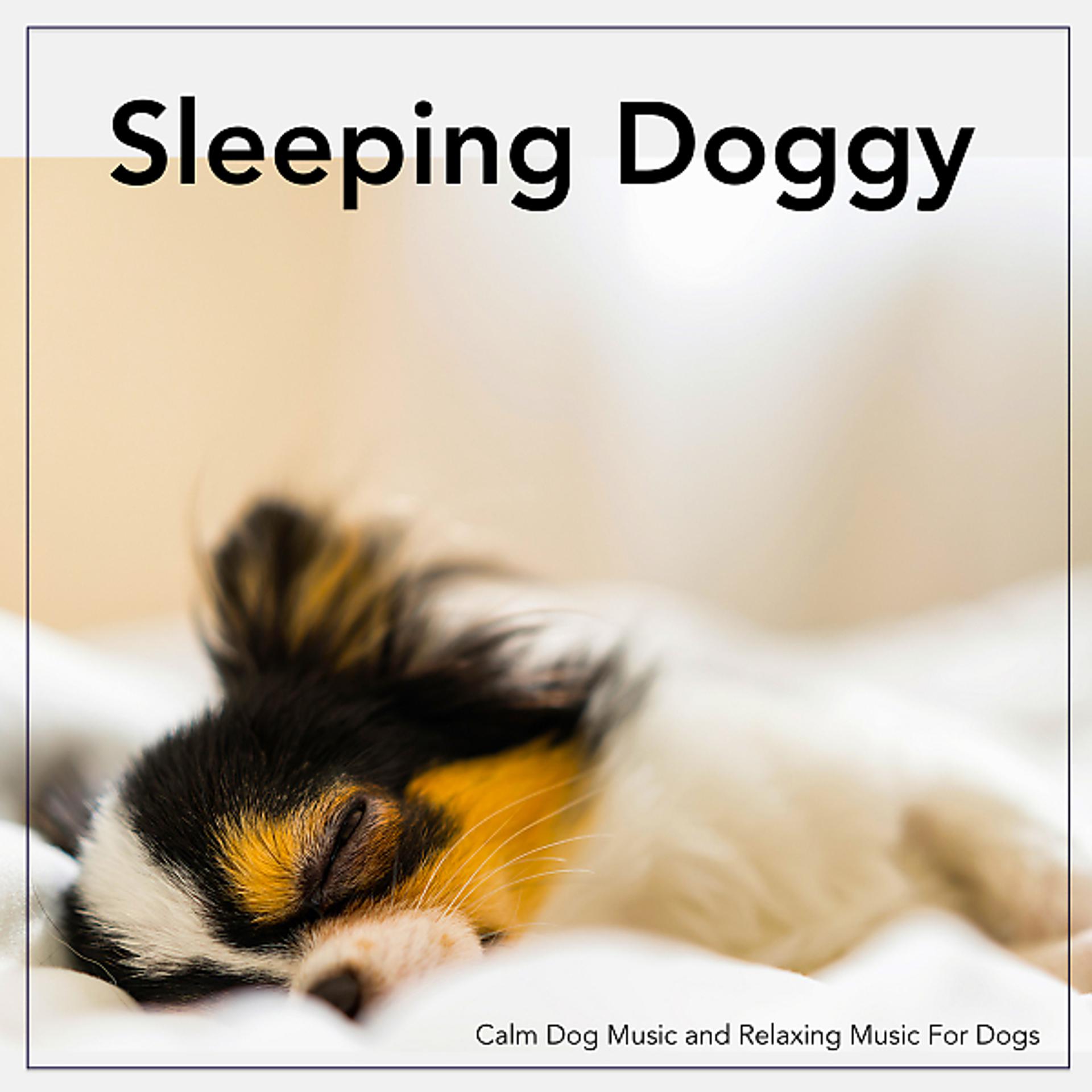 Постер альбома Sleeping Doggy: Calm Dog Music and Relaxing Music For Dogs