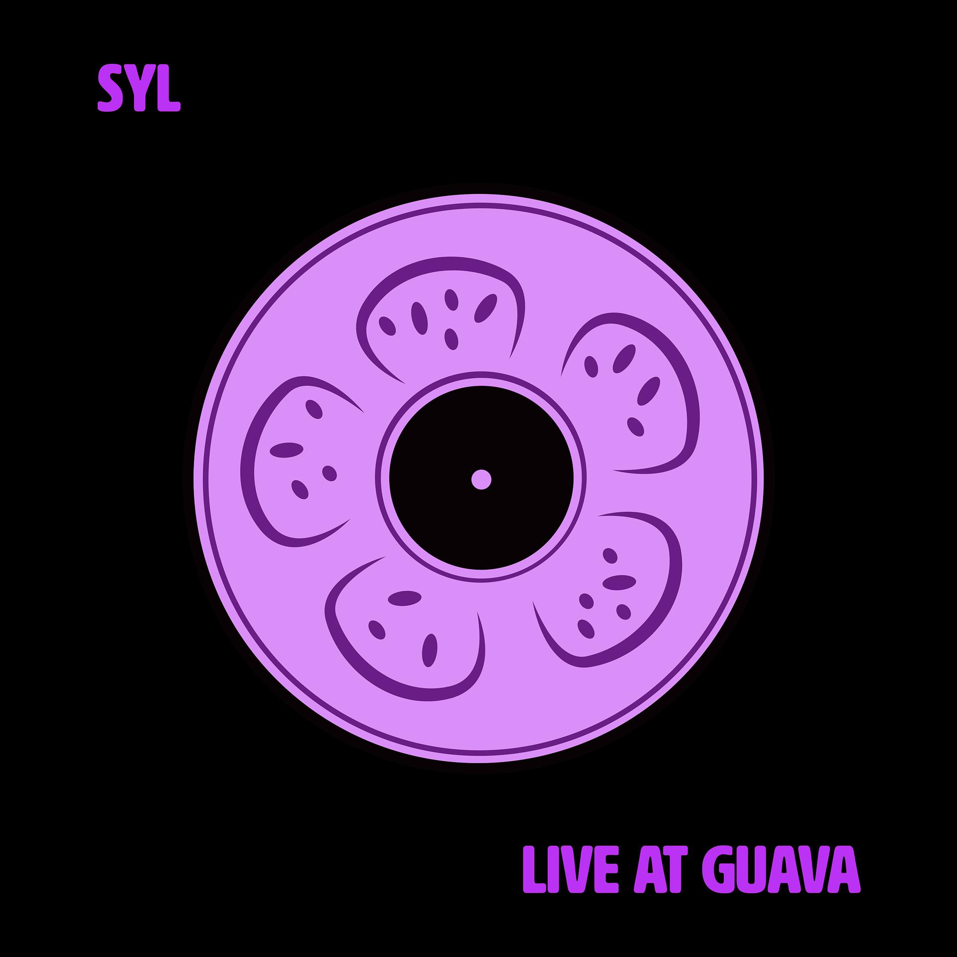 Постер альбома Flight School (Live at Guava)