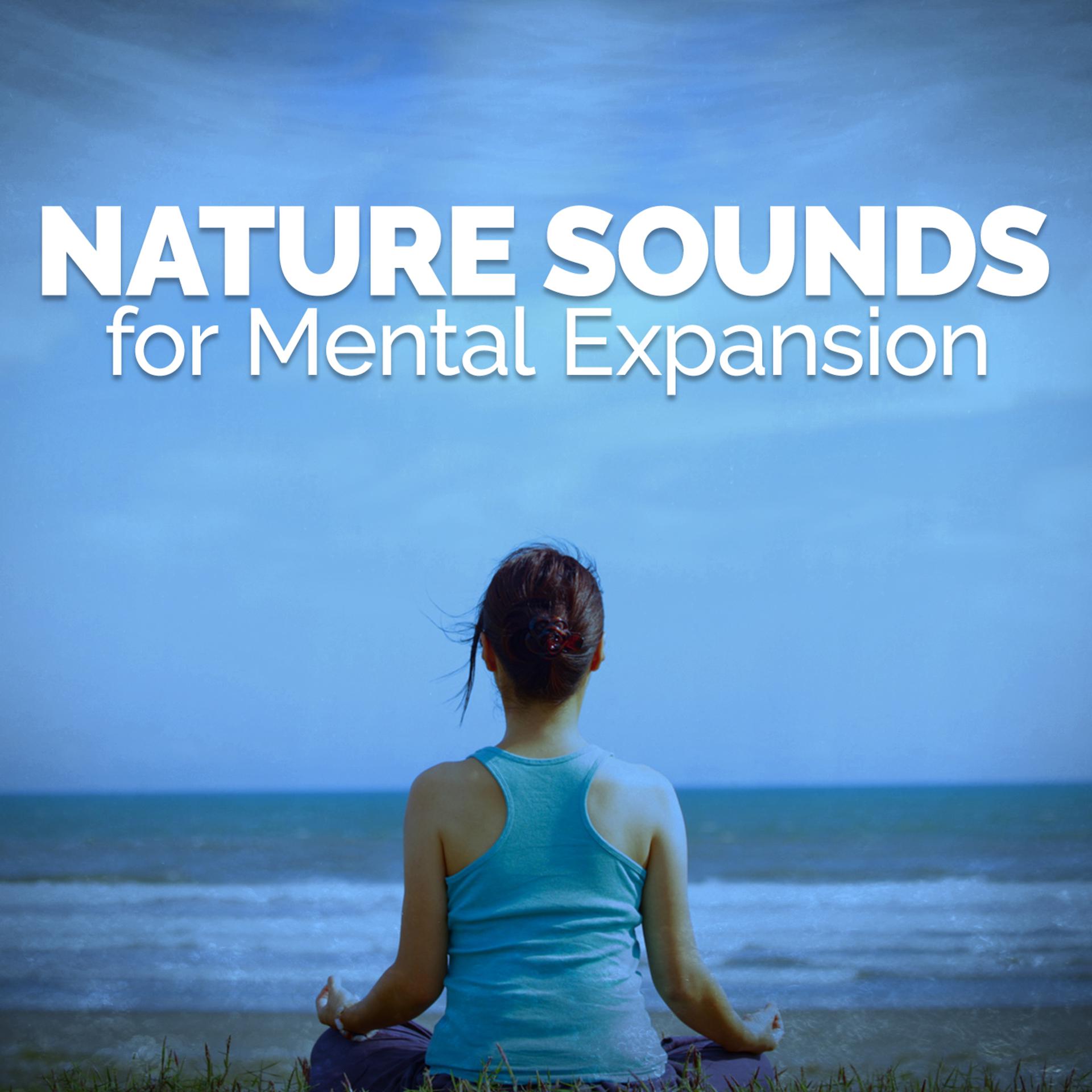 Постер альбома Natural Sounds for Mental Expansion
