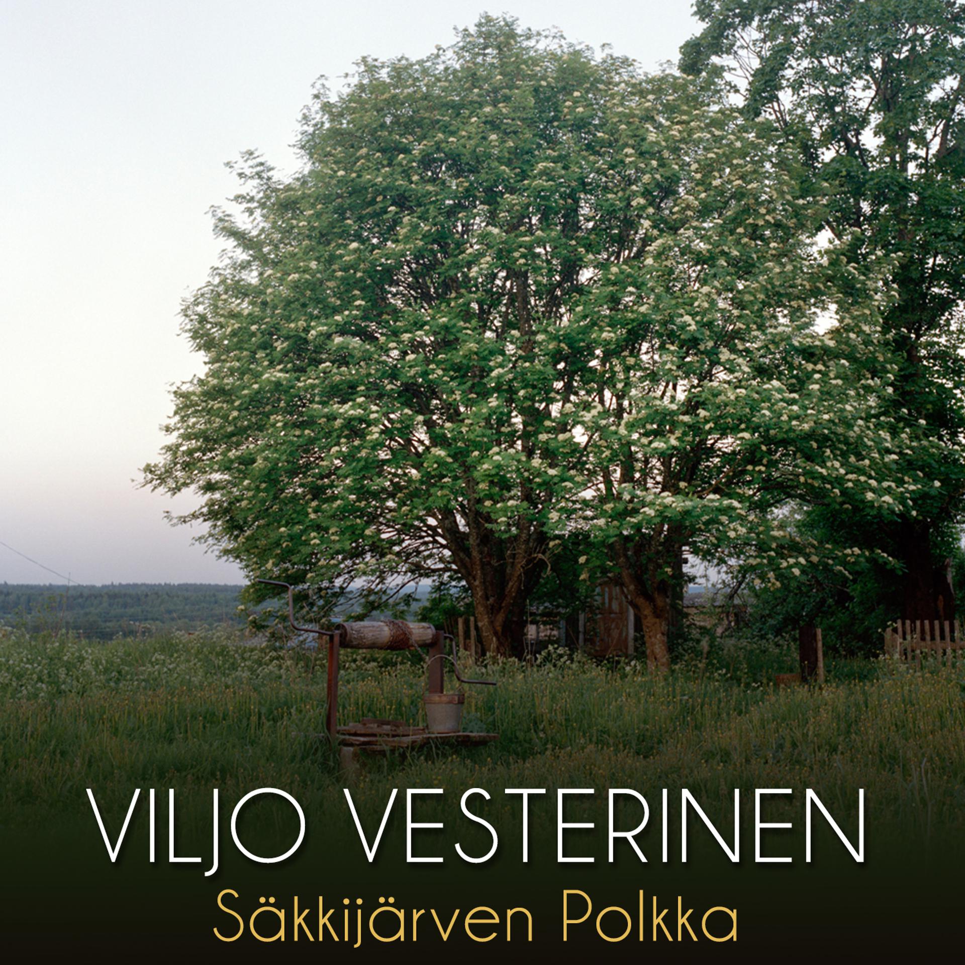 Постер альбома Säkkijärven Polkka