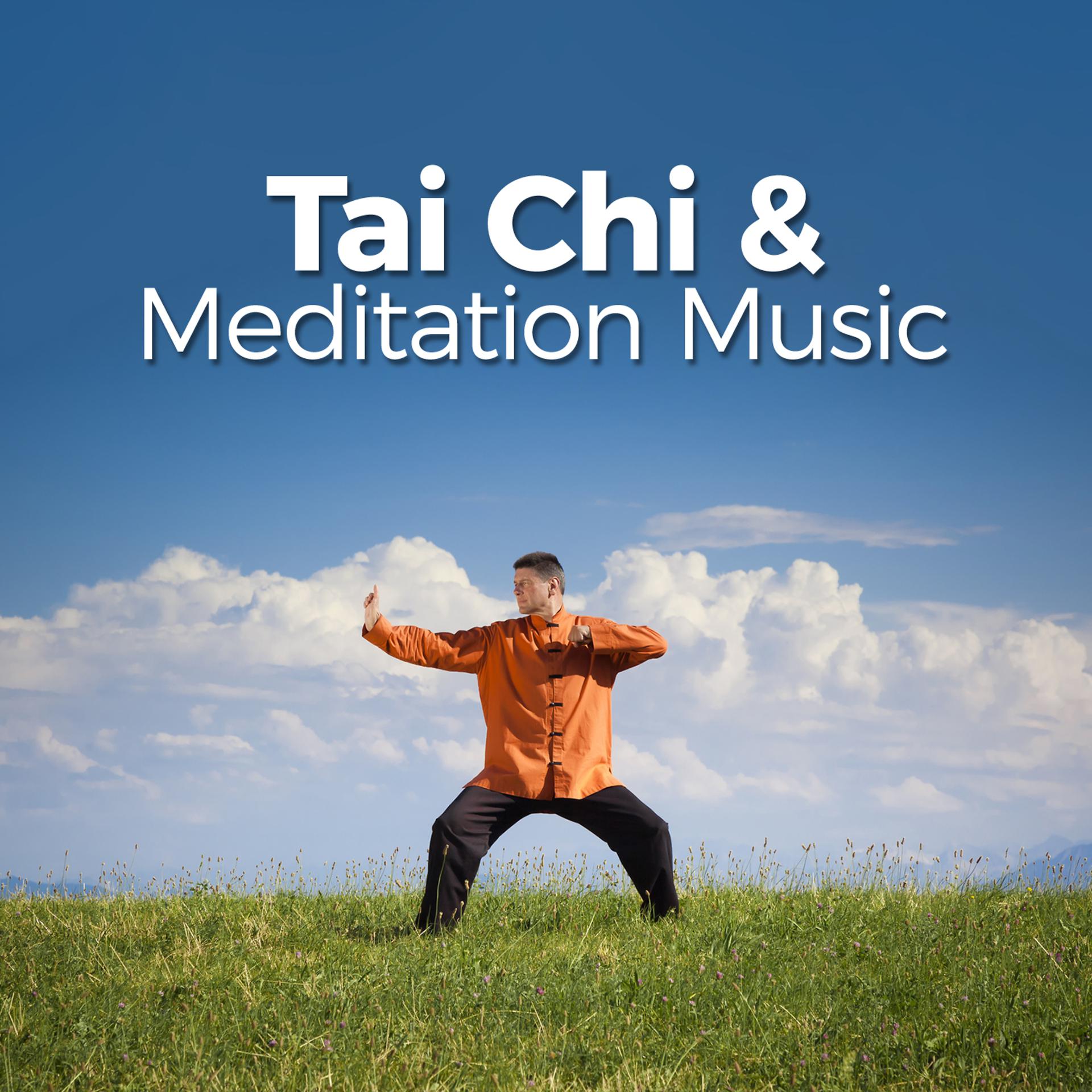 Постер альбома Tai Chi & Meditation Music
