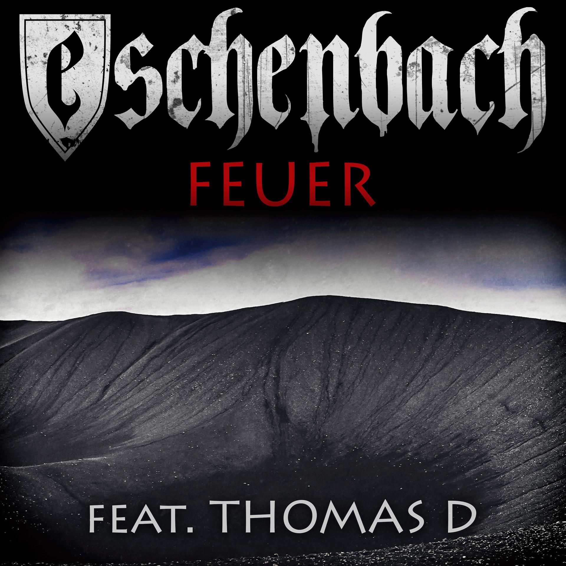 Постер альбома Feuer (feat. Thomas D.)