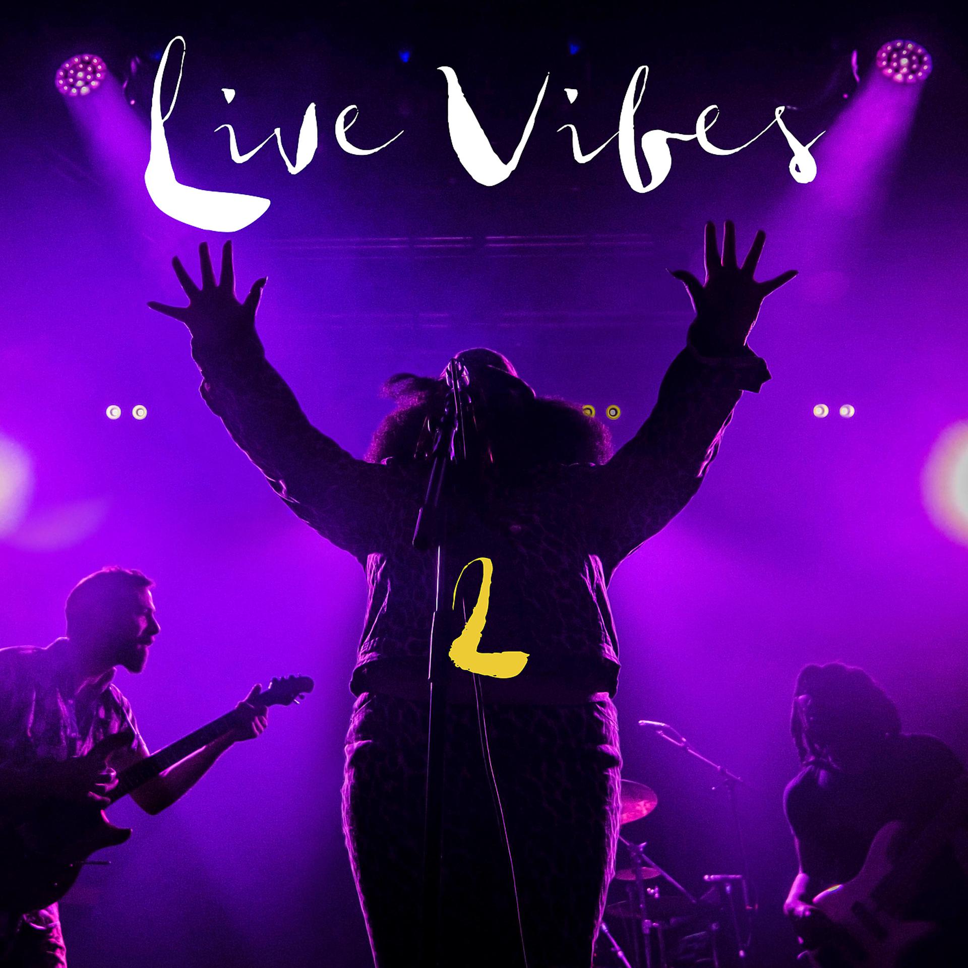 Постер альбома Live Vibes 2