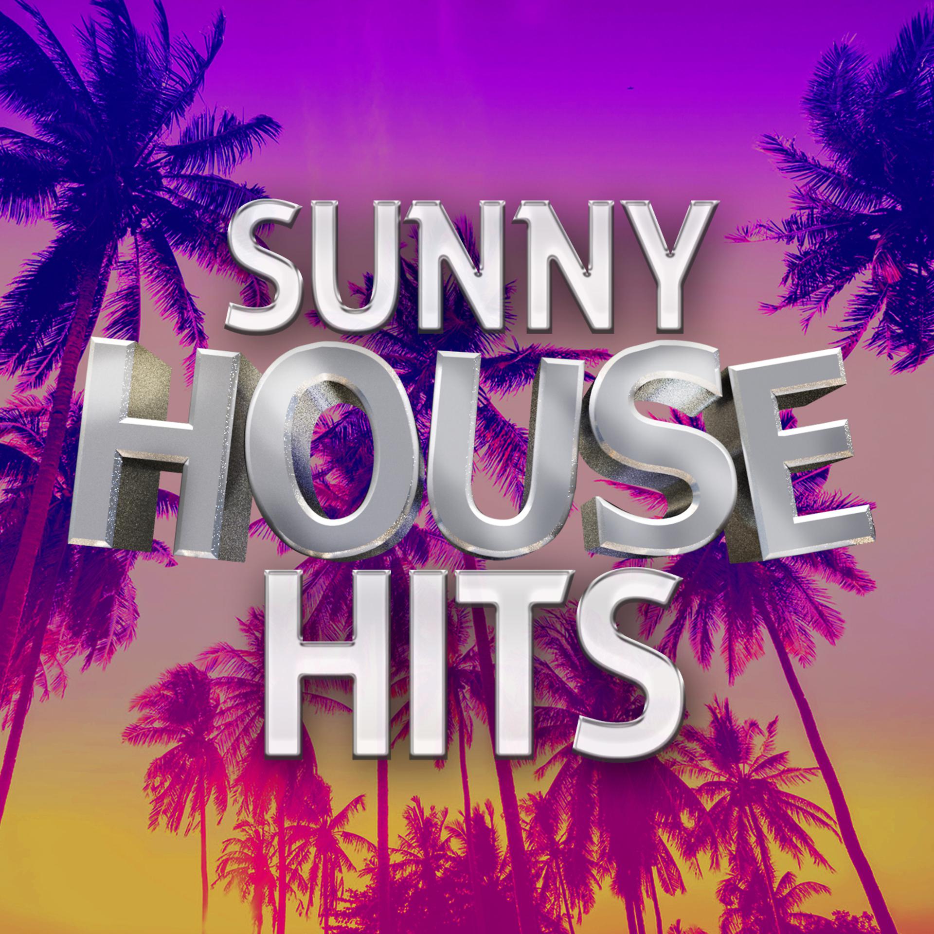 Постер альбома Sunny House Hits