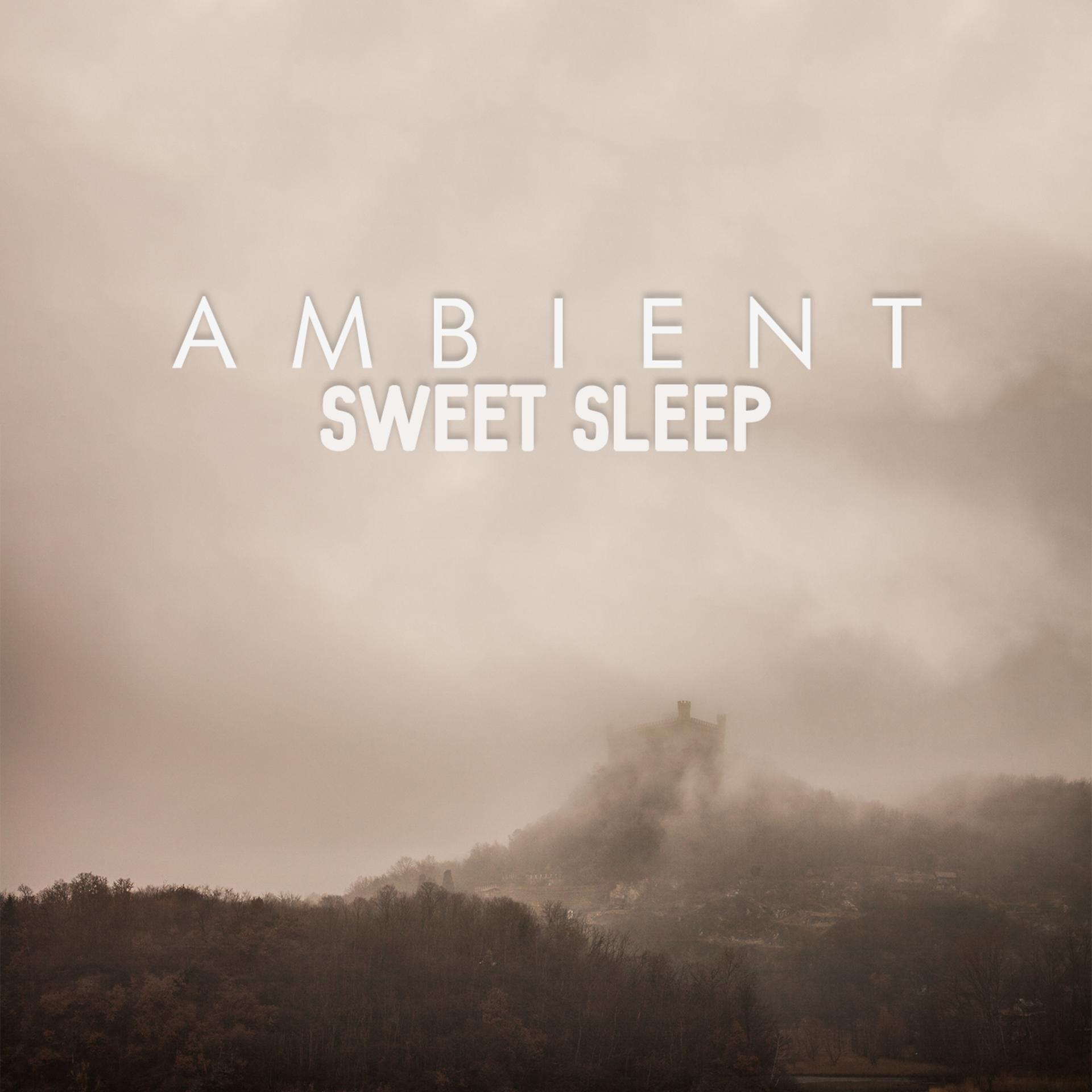 Постер альбома Ambient Sweet Sleep