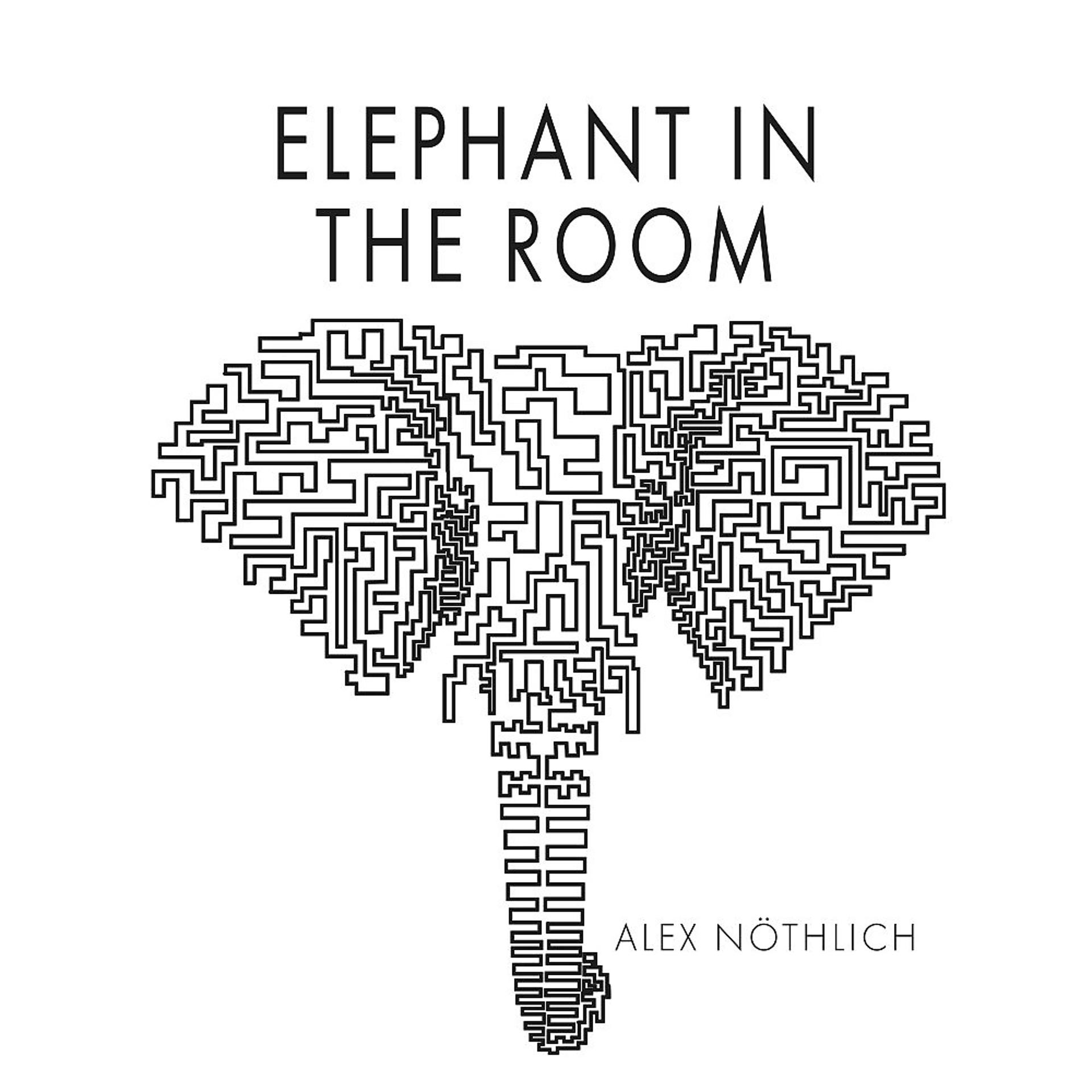 Постер альбома Elephant in the Room