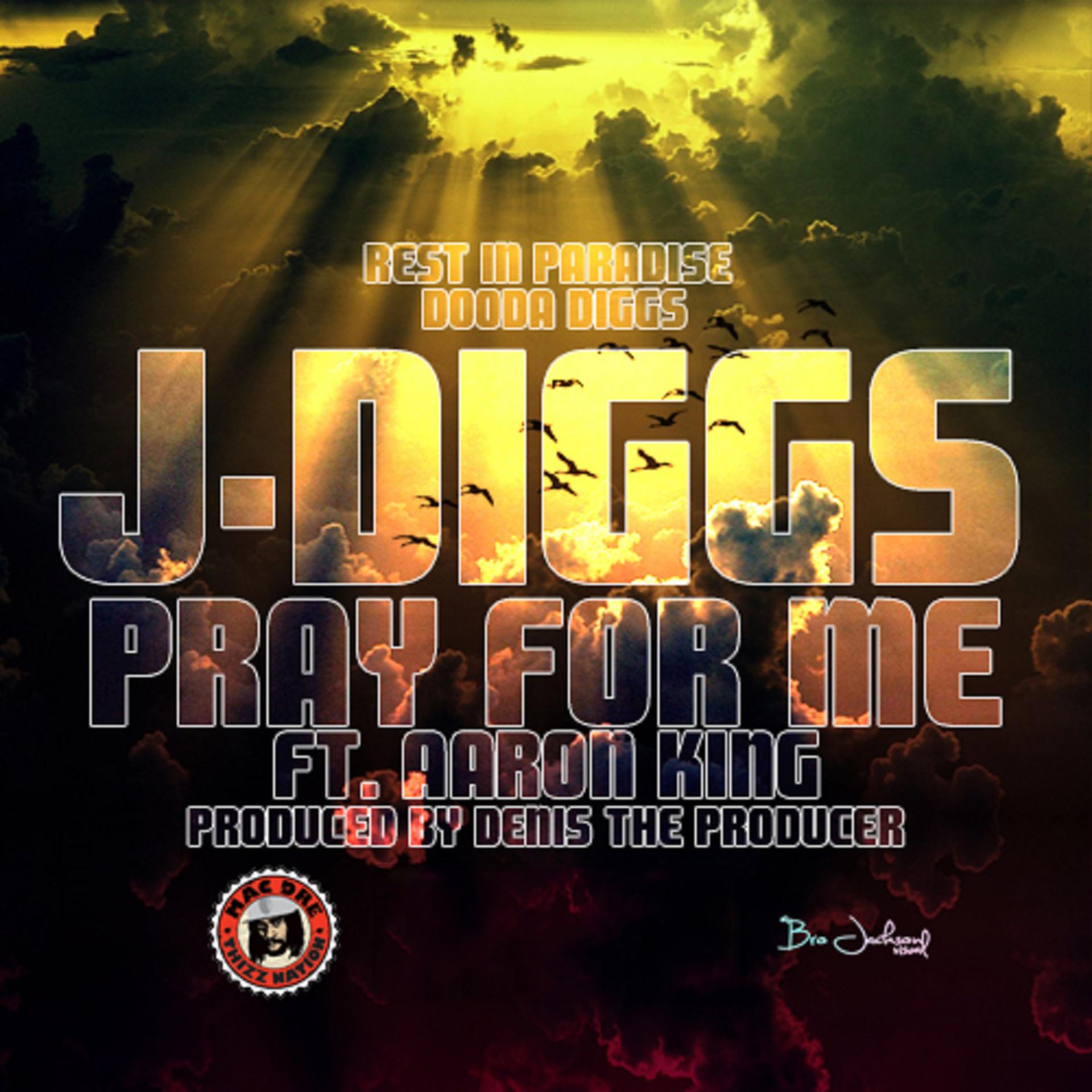 Постер альбома Pray for Me (Rest Is Paradise Dooda Diggs) [feat. Aaron King]