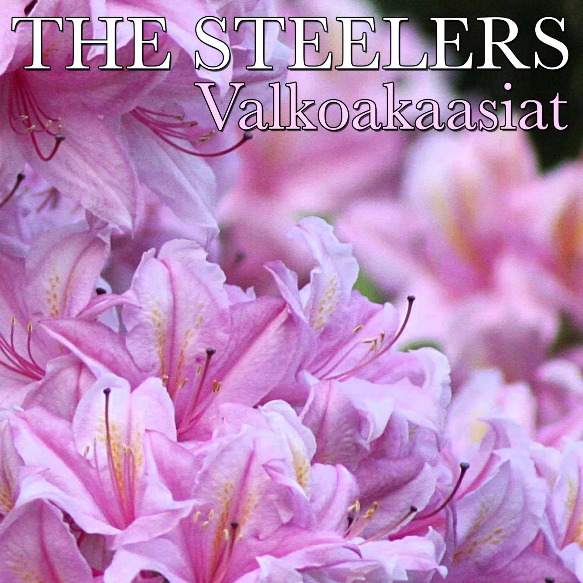 Постер альбома Valkoakaasiat