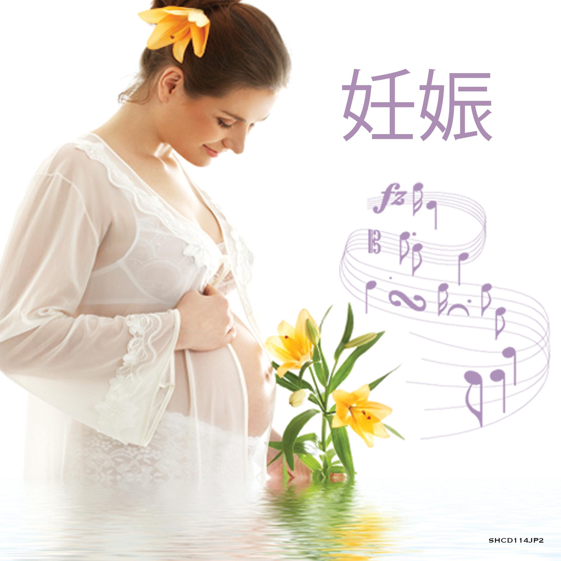 Постер альбома 妊娠 ♫ 胎児のための音楽