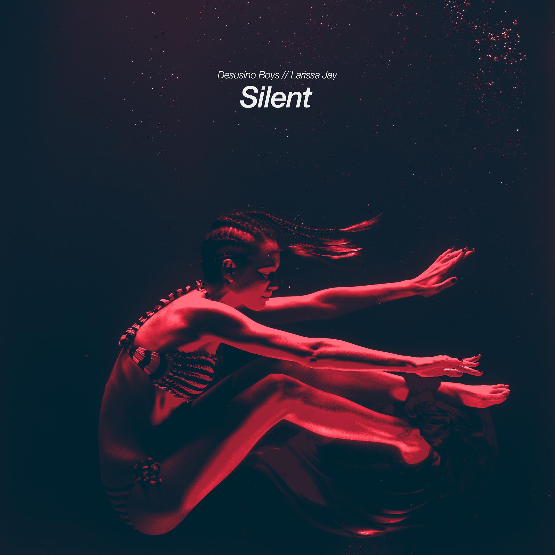 Постер альбома Silent