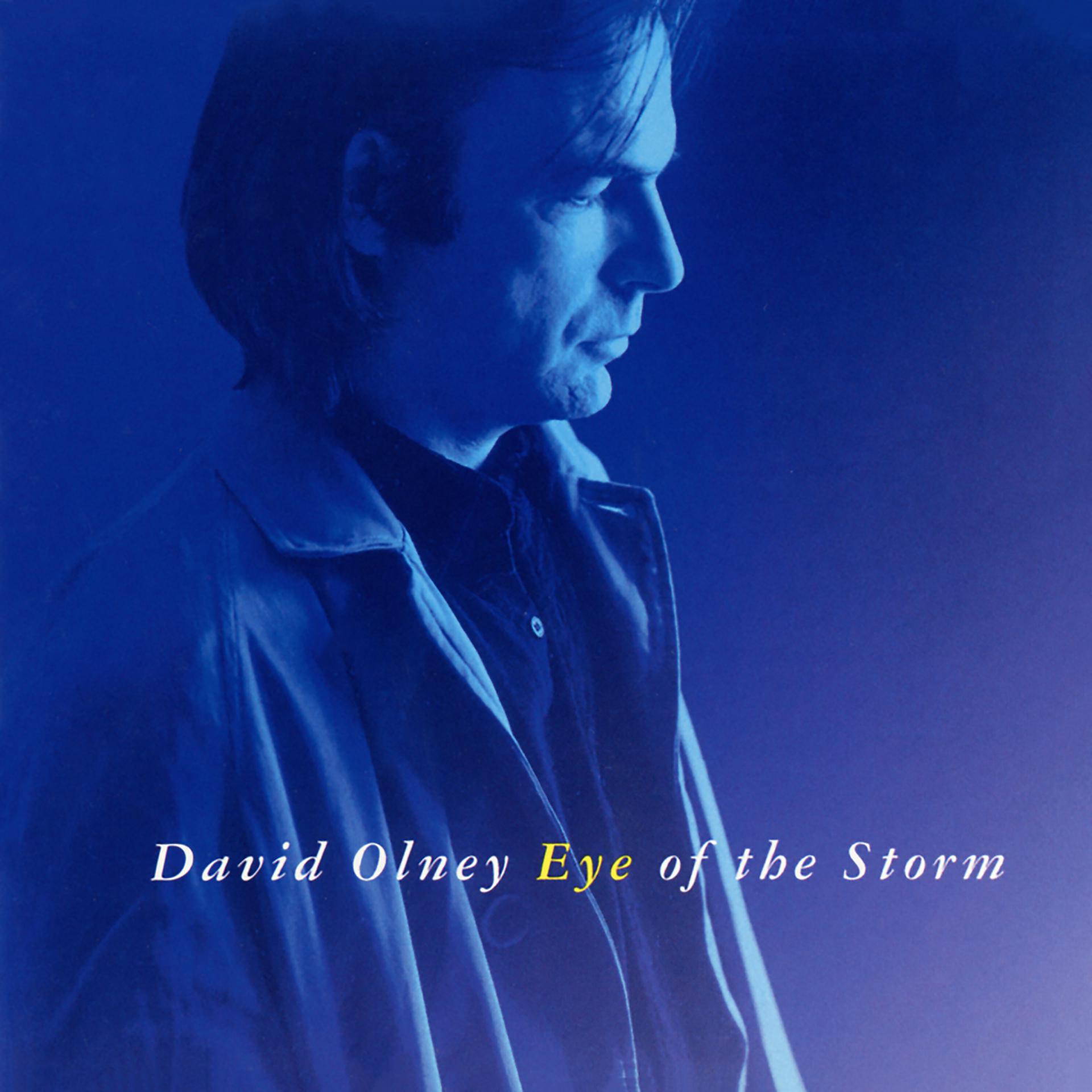 Постер альбома Eye Of The Storm