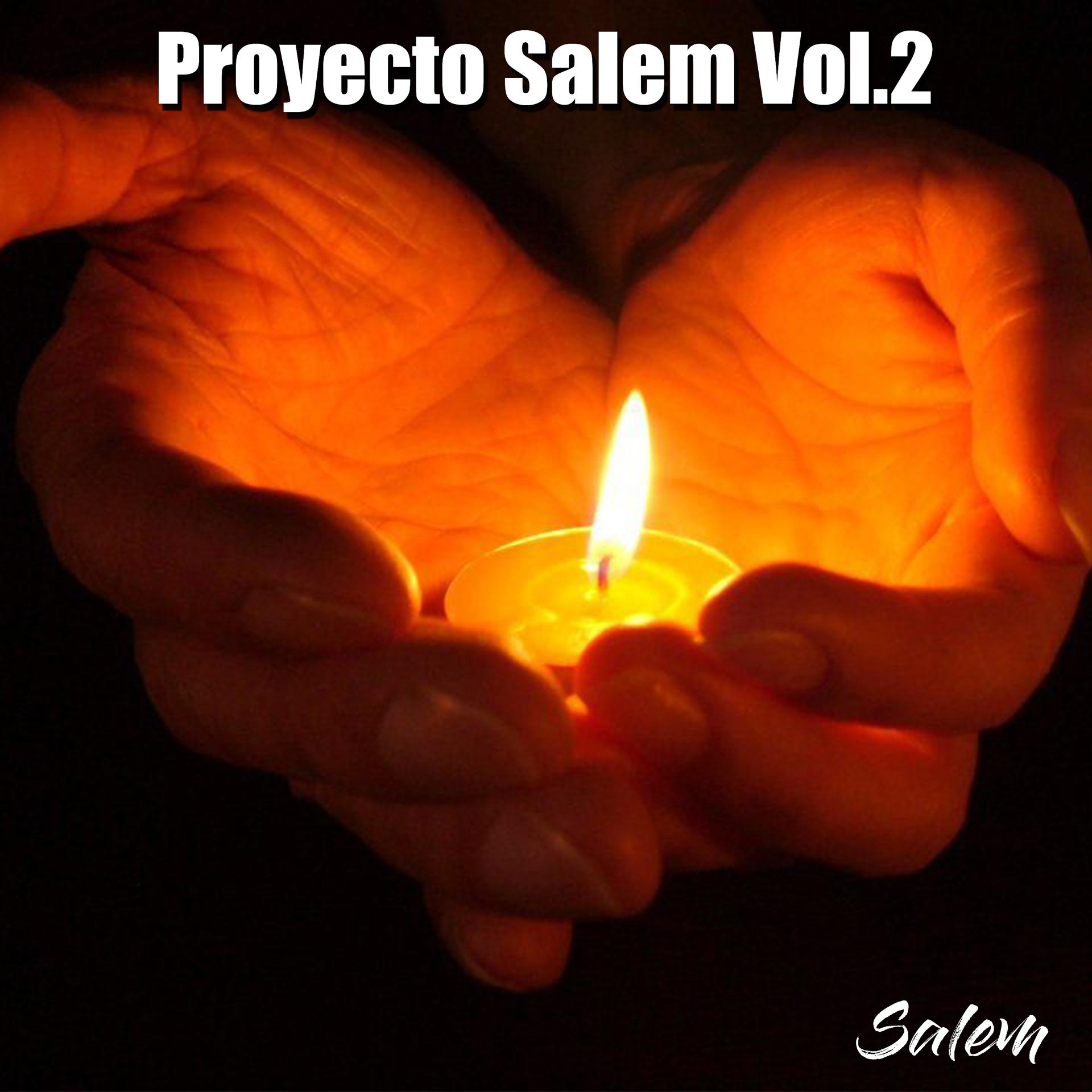 Постер альбома Proyecto Salem Vol. 2