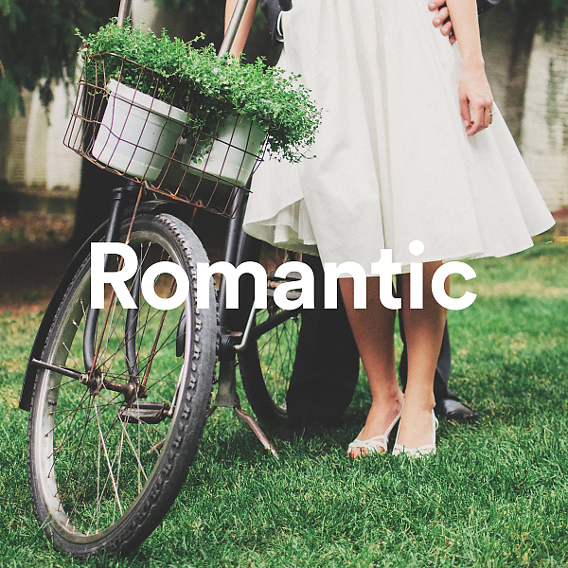 Постер альбома Romantic Music for Lovers