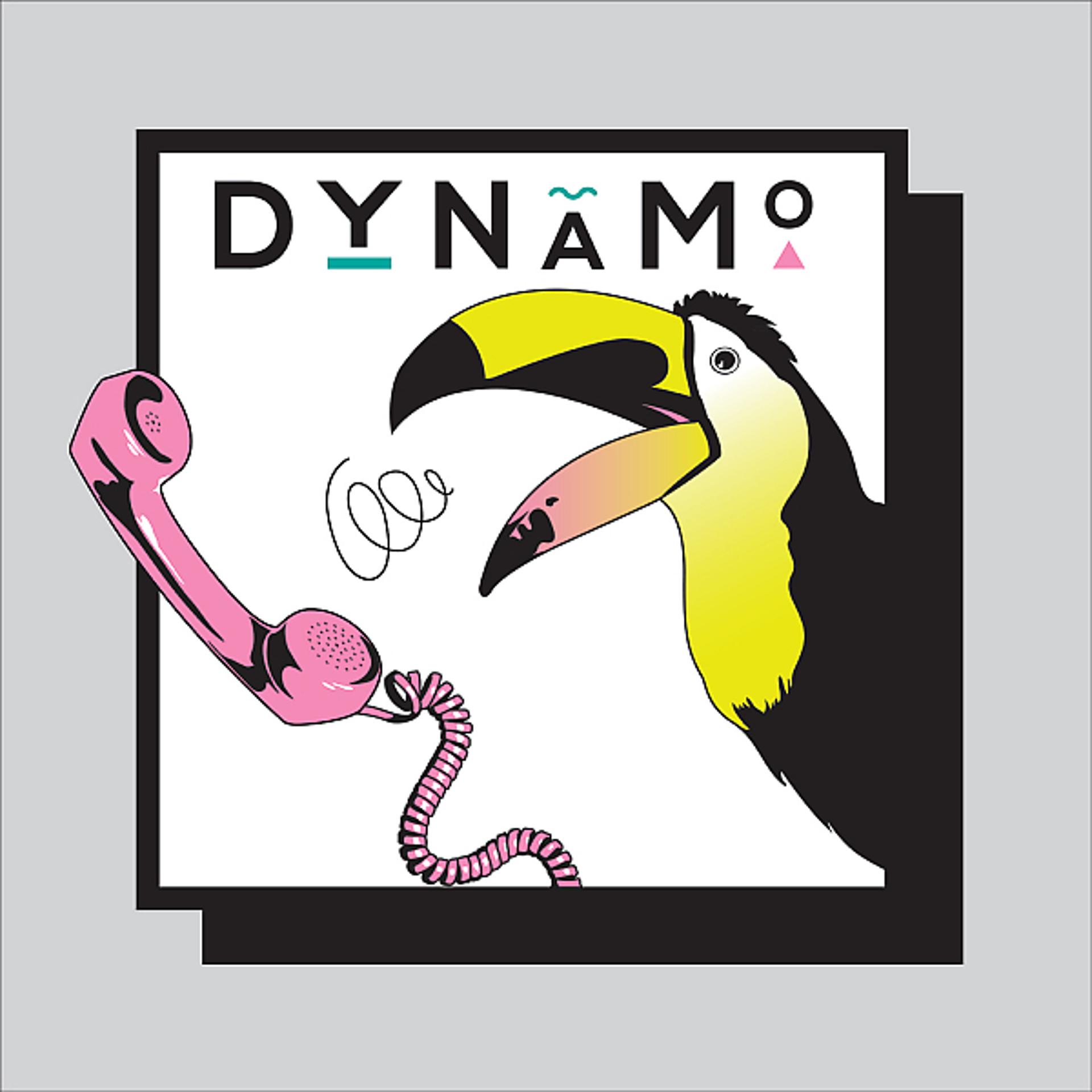 Постер альбома Dynamo