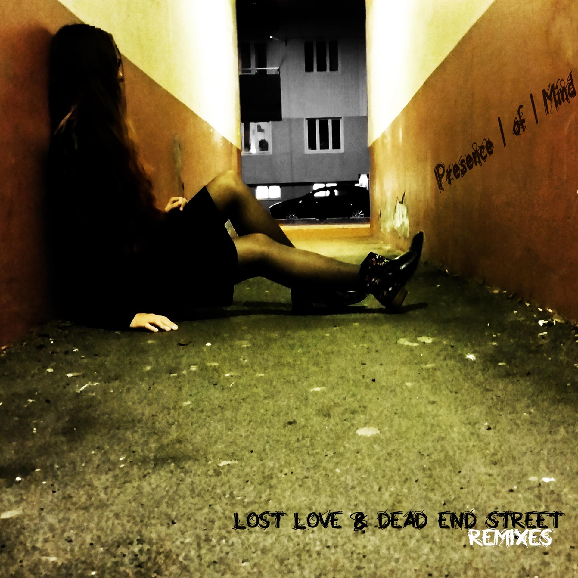 Постер альбома Lost Love & Dead End Street Remixes